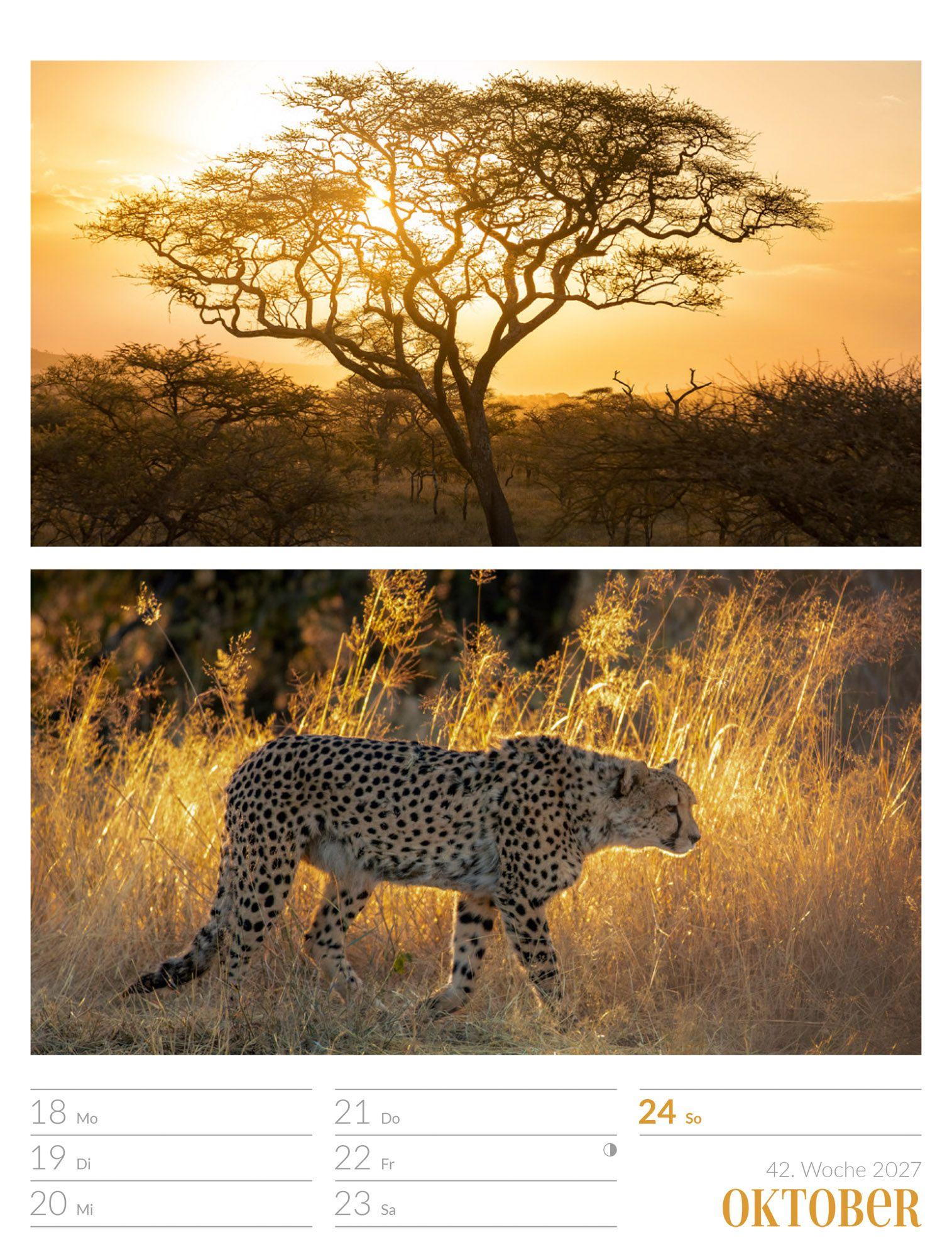 Beispielinhalt (Bild) Farben der Natur Wochenplaner Kalender 2027