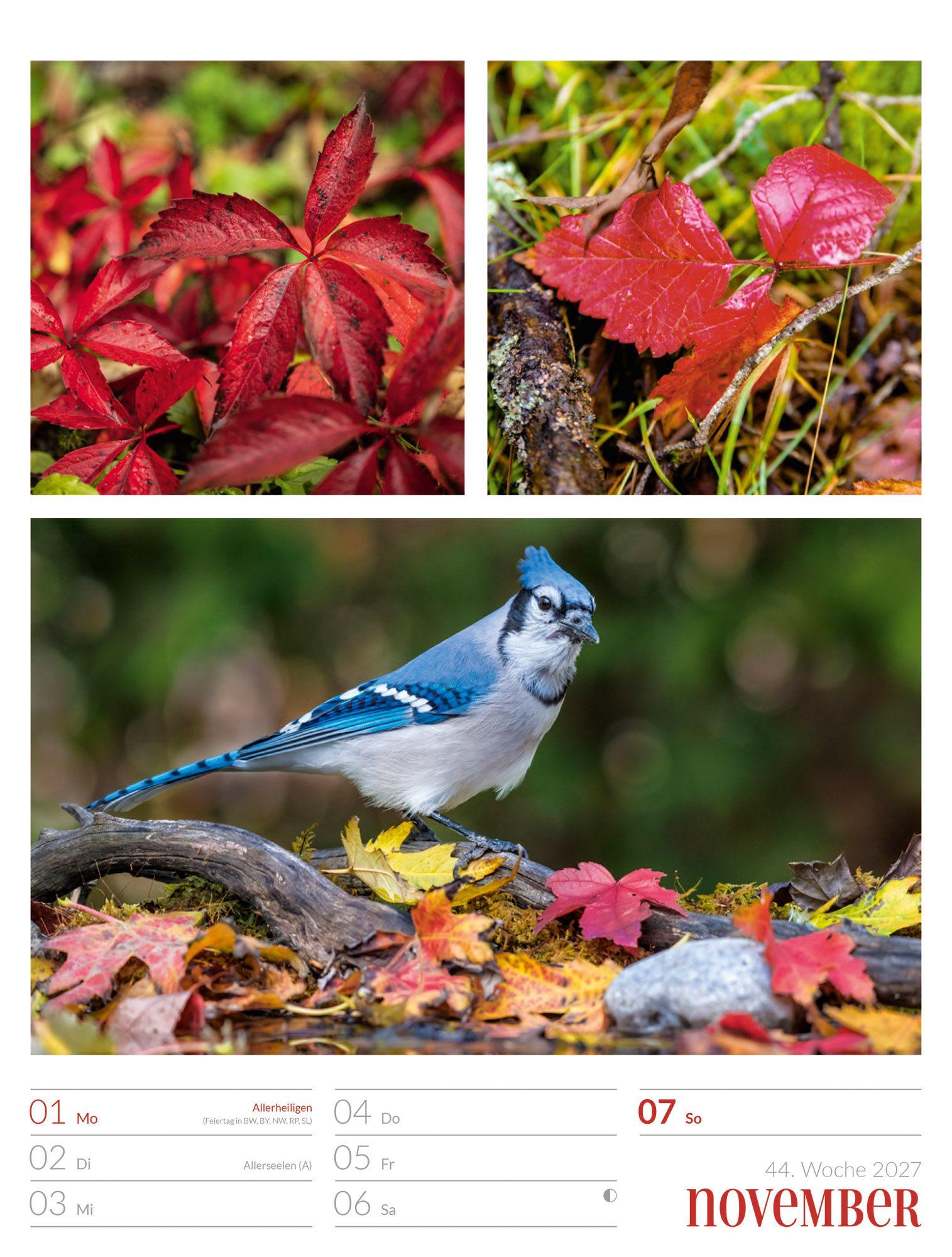 Beispielinhalt (Bild) Farben der Natur Wochenplaner Kalender 2027