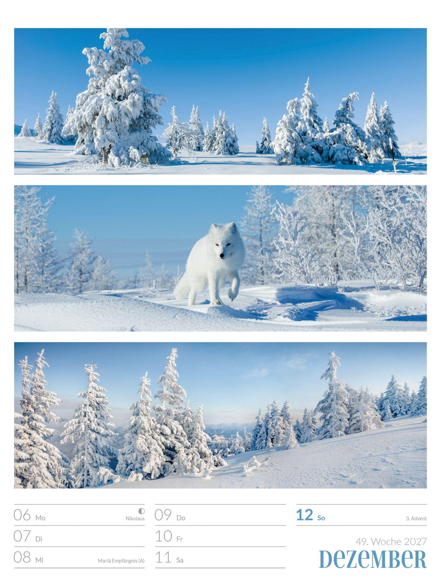 Beispielinhalt (Bild) Farben der Natur Wochenplaner Kalender 2027