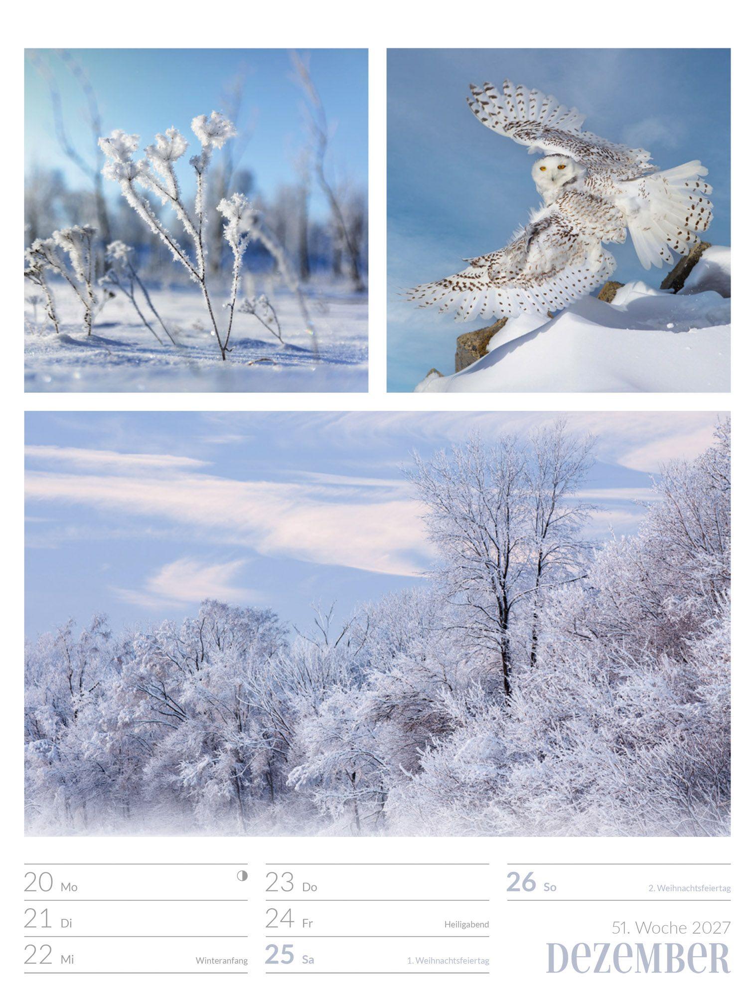 Beispielinhalt (Bild) Farben der Natur Wochenplaner Kalender 2027