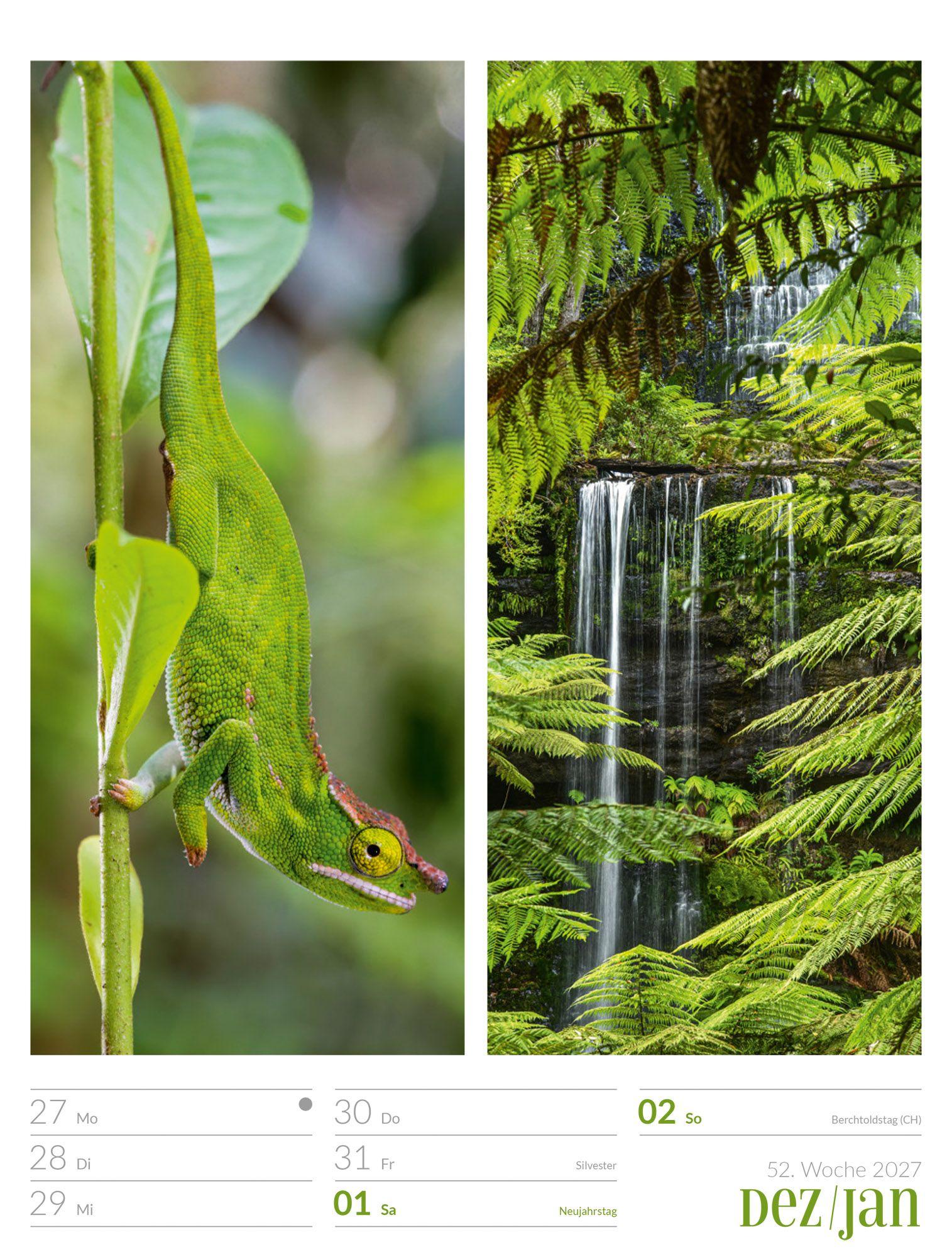 Beispielinhalt (Bild) Farben der Natur Wochenplaner Kalender 2027