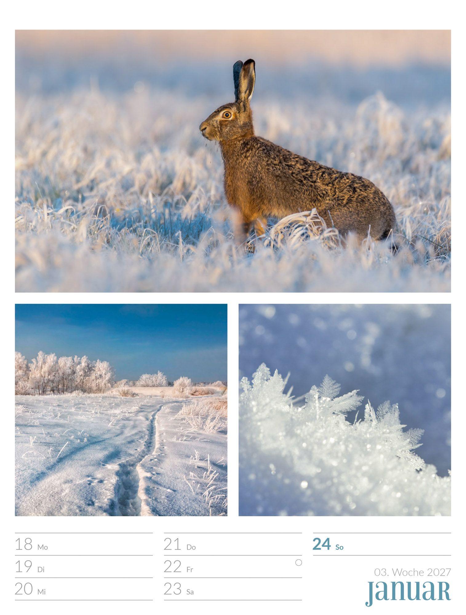 Beispielinhalt (Bild) Farben der Natur Wochenplaner Kalender 2027