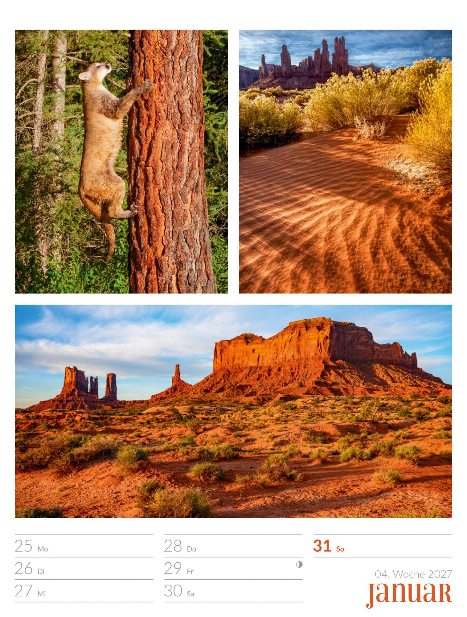 Beispielinhalt (Bild) Farben der Natur Wochenplaner Kalender 2027