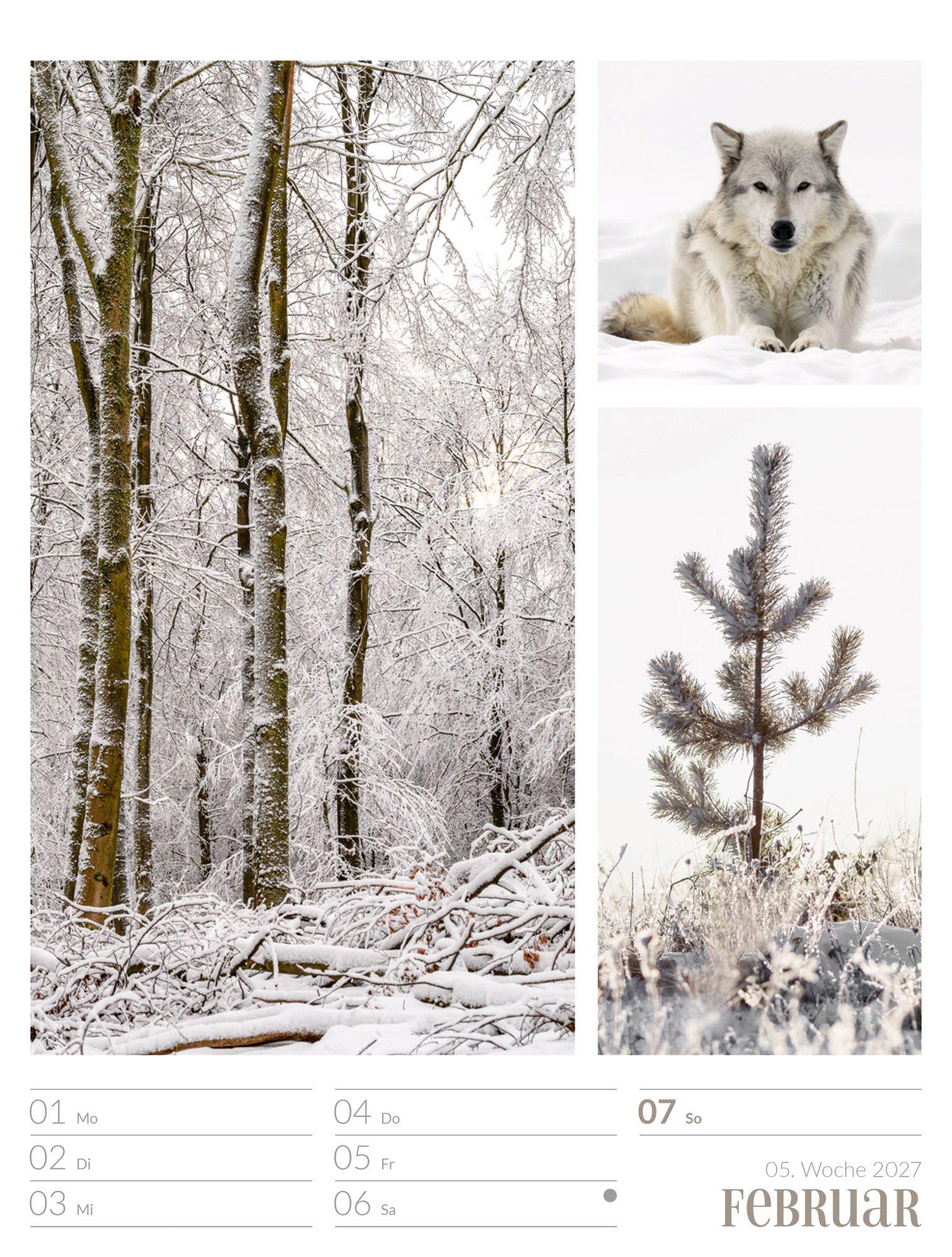 Beispielinhalt (Bild) Farben der Natur Wochenplaner Kalender 2027