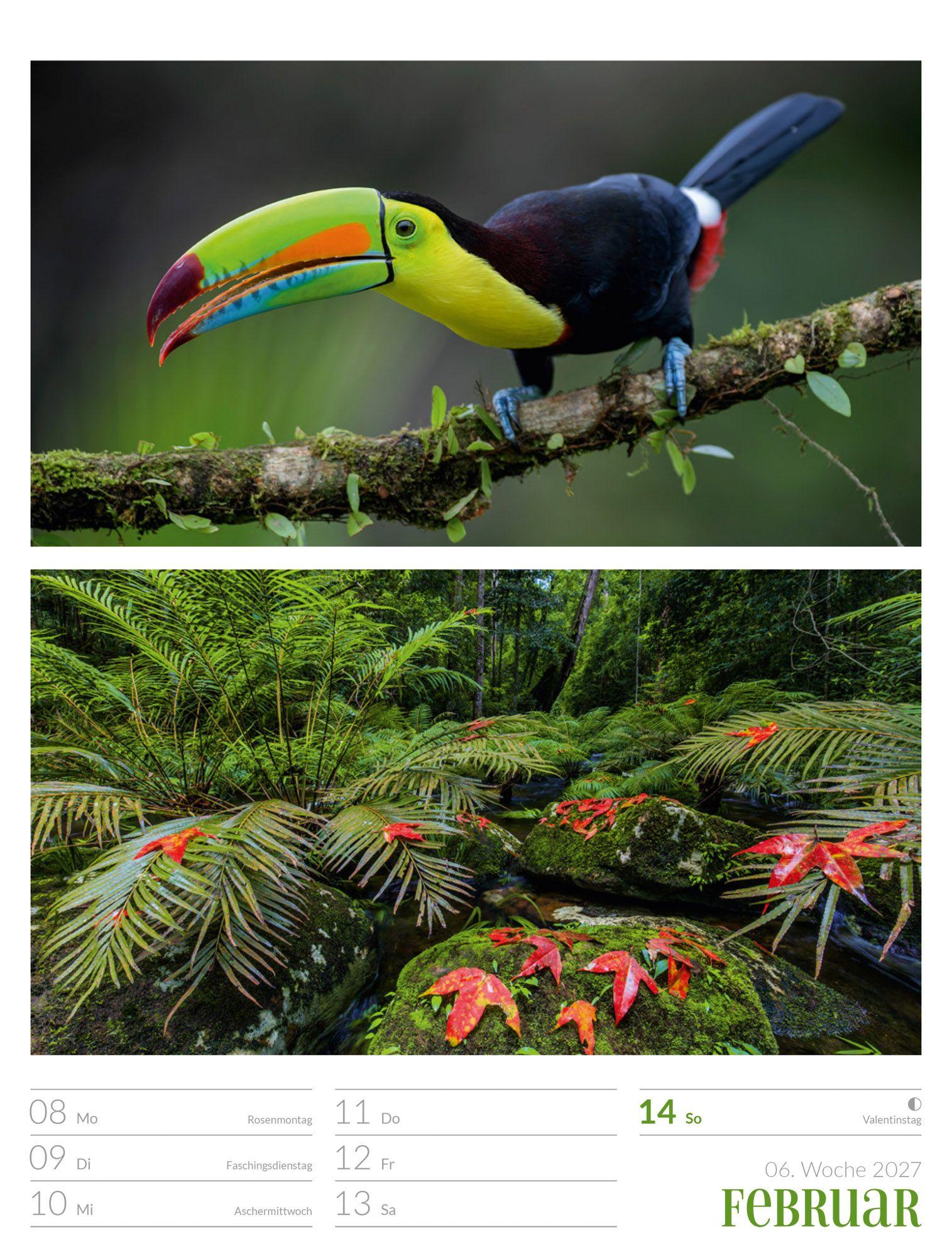 Beispielinhalt (Bild) Farben der Natur Wochenplaner Kalender 2027