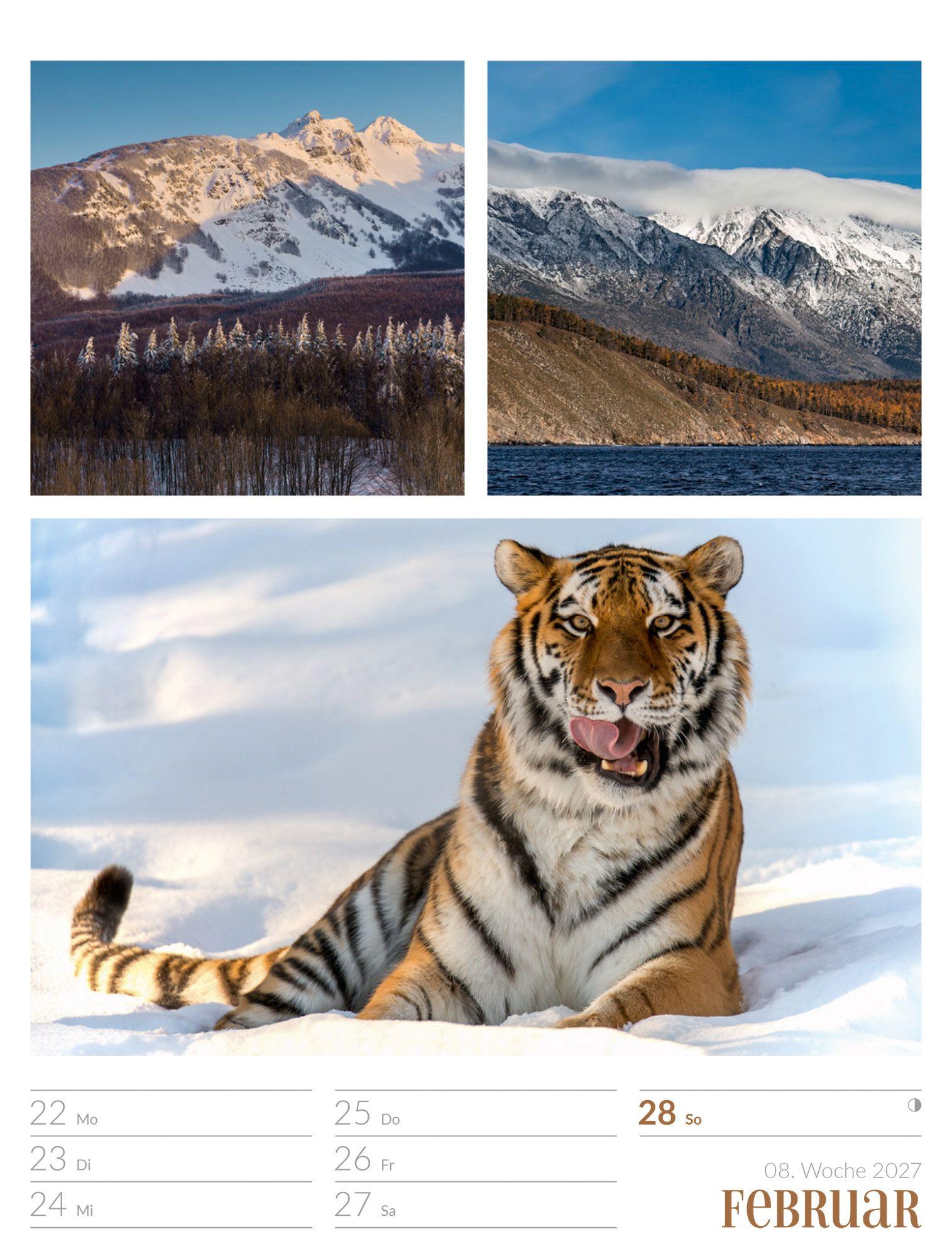 Beispielinhalt (Bild) Farben der Natur Wochenplaner Kalender 2027