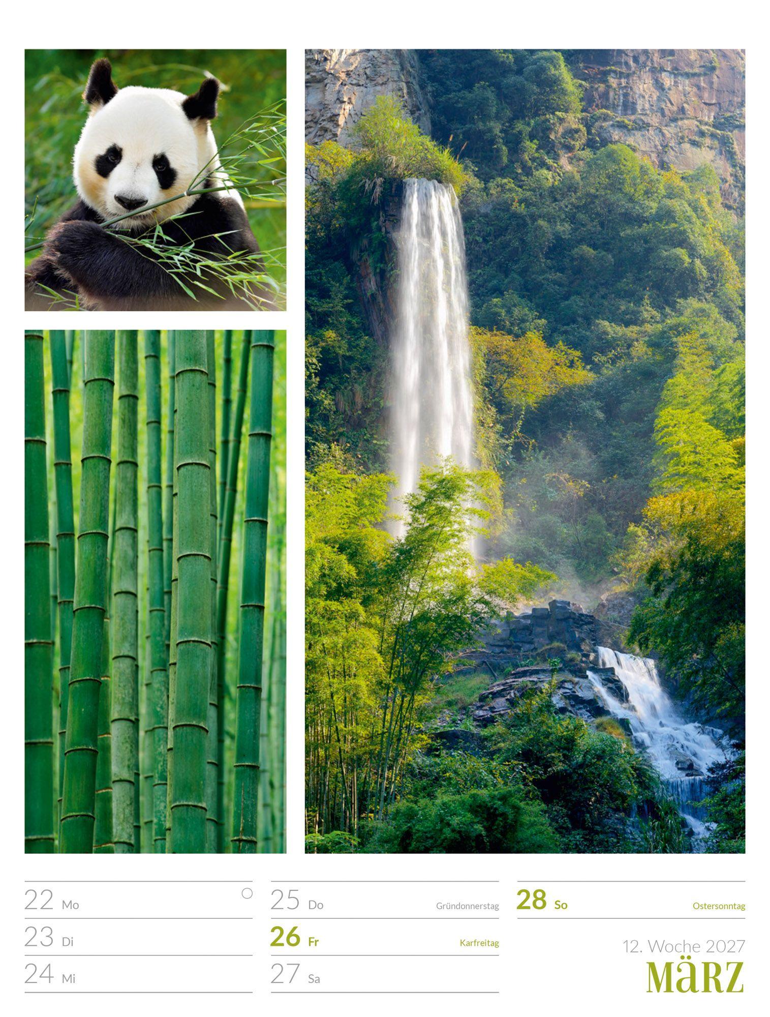 Beispielinhalt (Bild) Farben der Natur Wochenplaner Kalender 2027