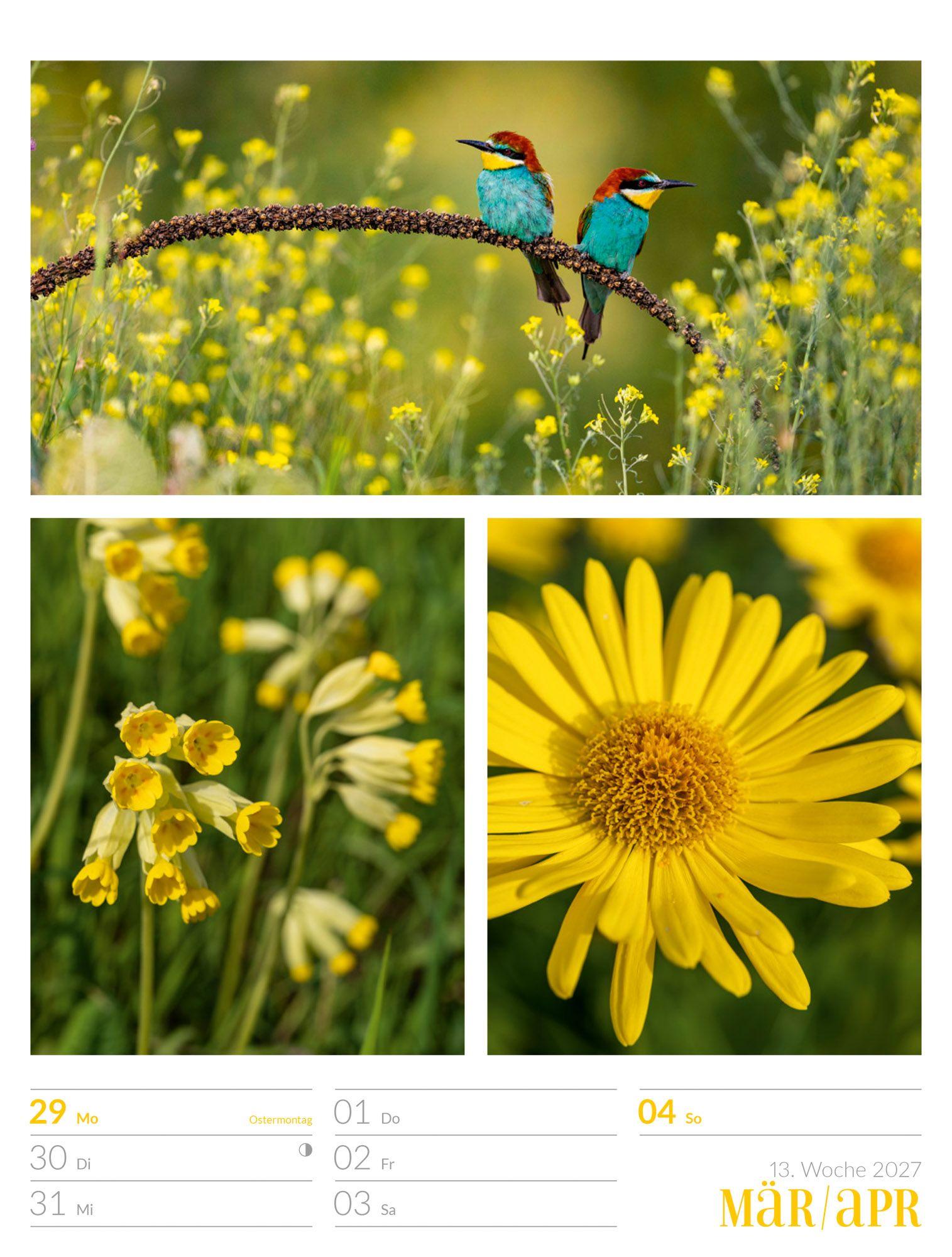 Beispielinhalt (Bild) Farben der Natur Wochenplaner Kalender 2027