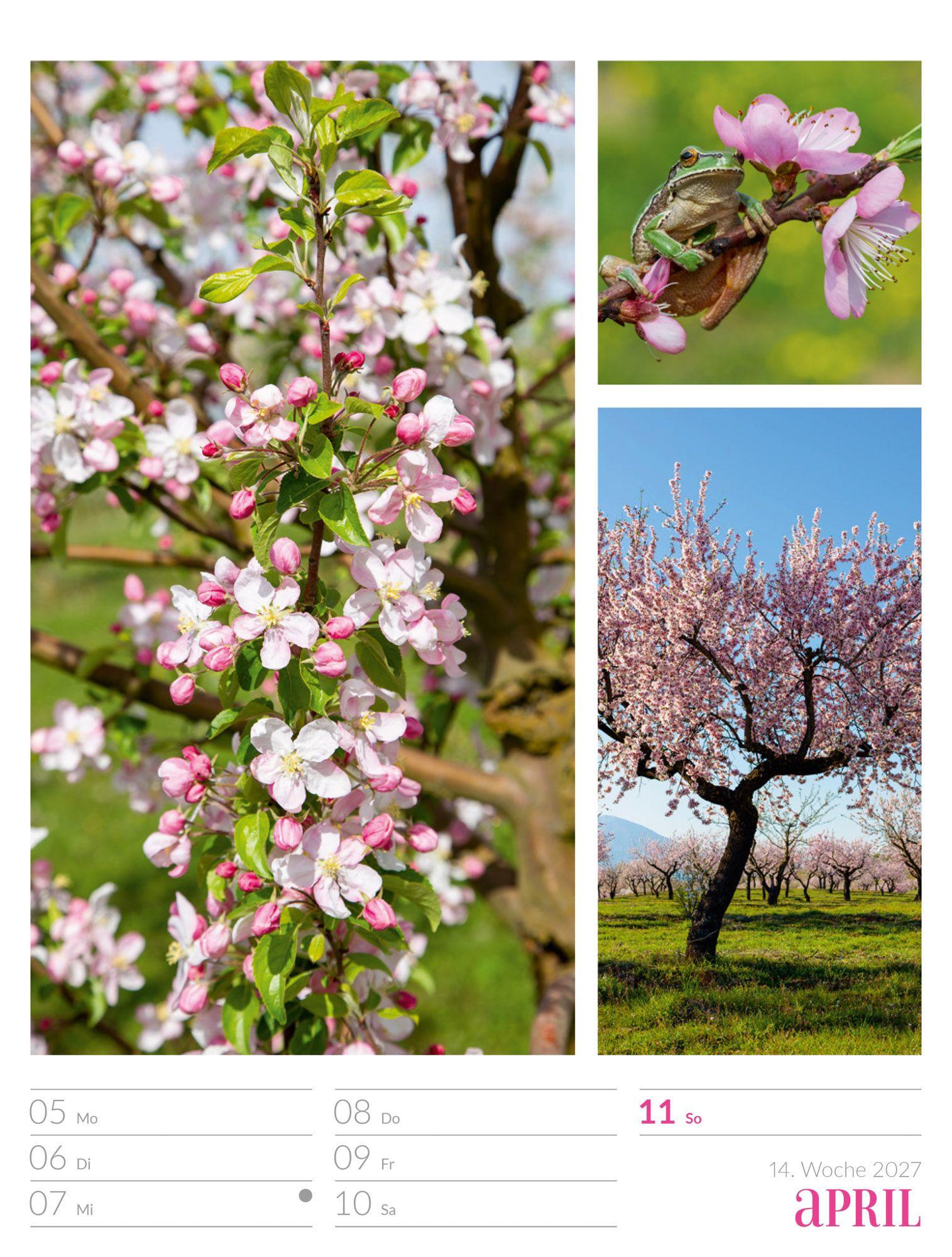Beispielinhalt (Bild) Farben der Natur Wochenplaner Kalender 2027