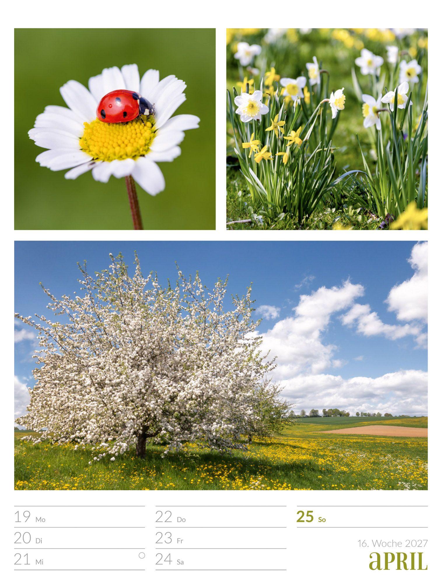 Beispielinhalt (Bild) Farben der Natur Wochenplaner Kalender 2027