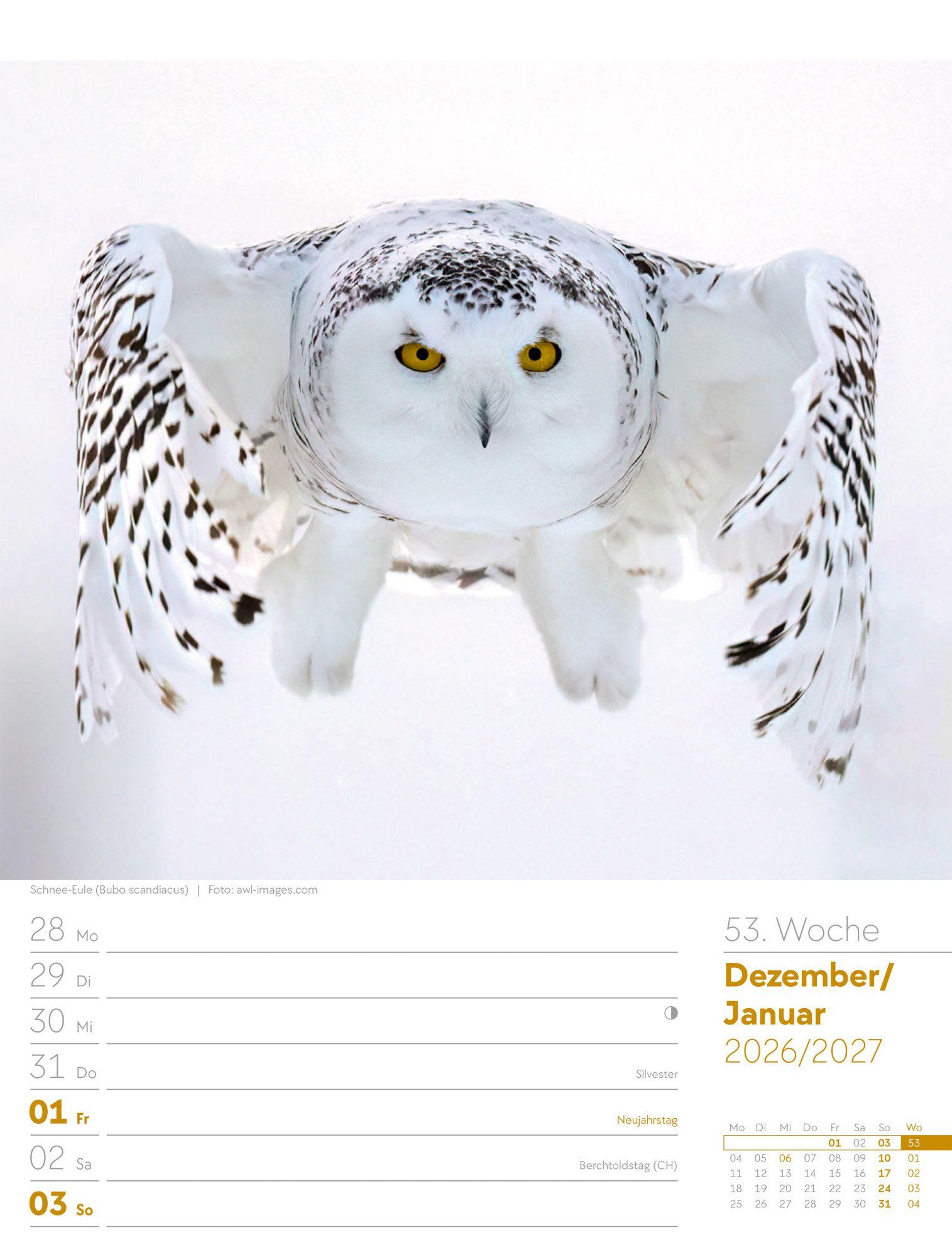 Beispielinhalt (Bild) Vögel Wochenplaner Kalender 2027