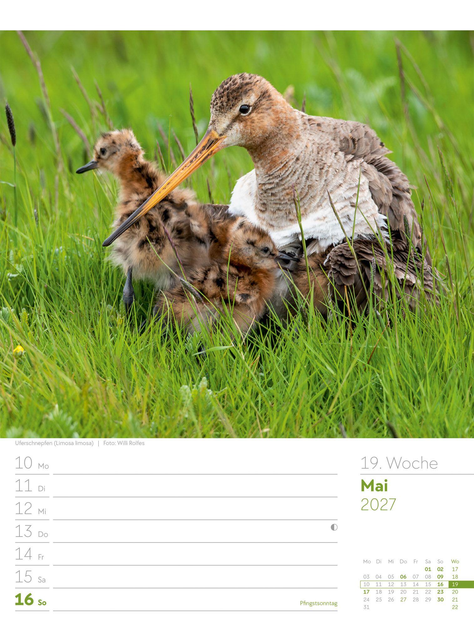 Beispielinhalt (Bild) Vögel Wochenplaner Kalender 2027