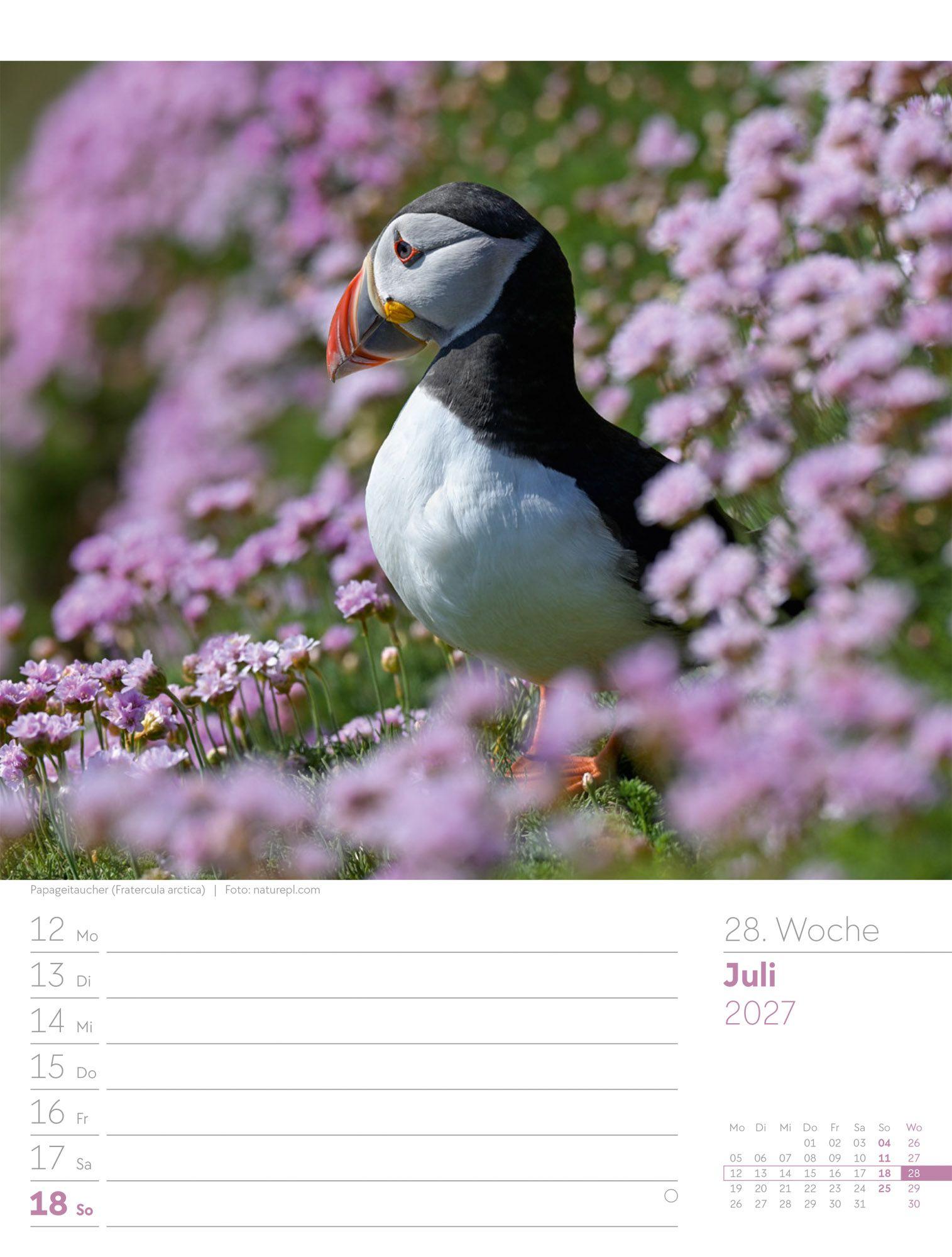 Beispielinhalt (Bild) Vögel Wochenplaner Kalender 2027