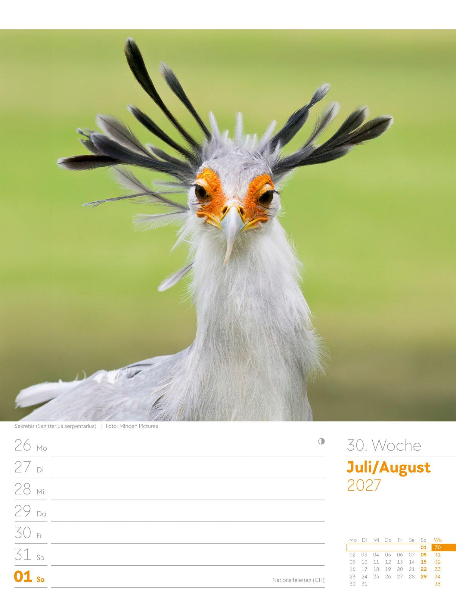 Beispielinhalt (Bild) Vögel Wochenplaner Kalender 2027