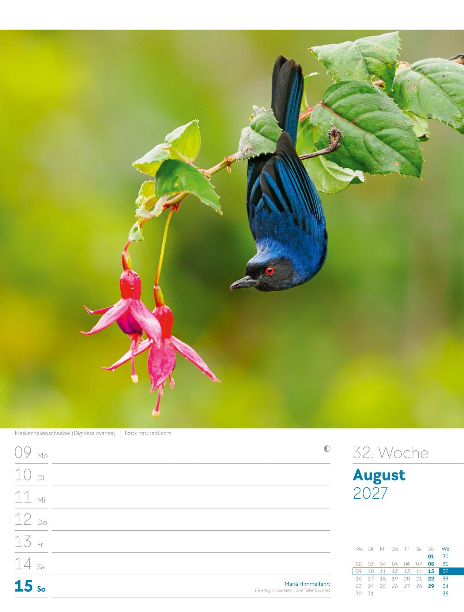 Beispielinhalt (Bild) Vögel Wochenplaner Kalender 2027