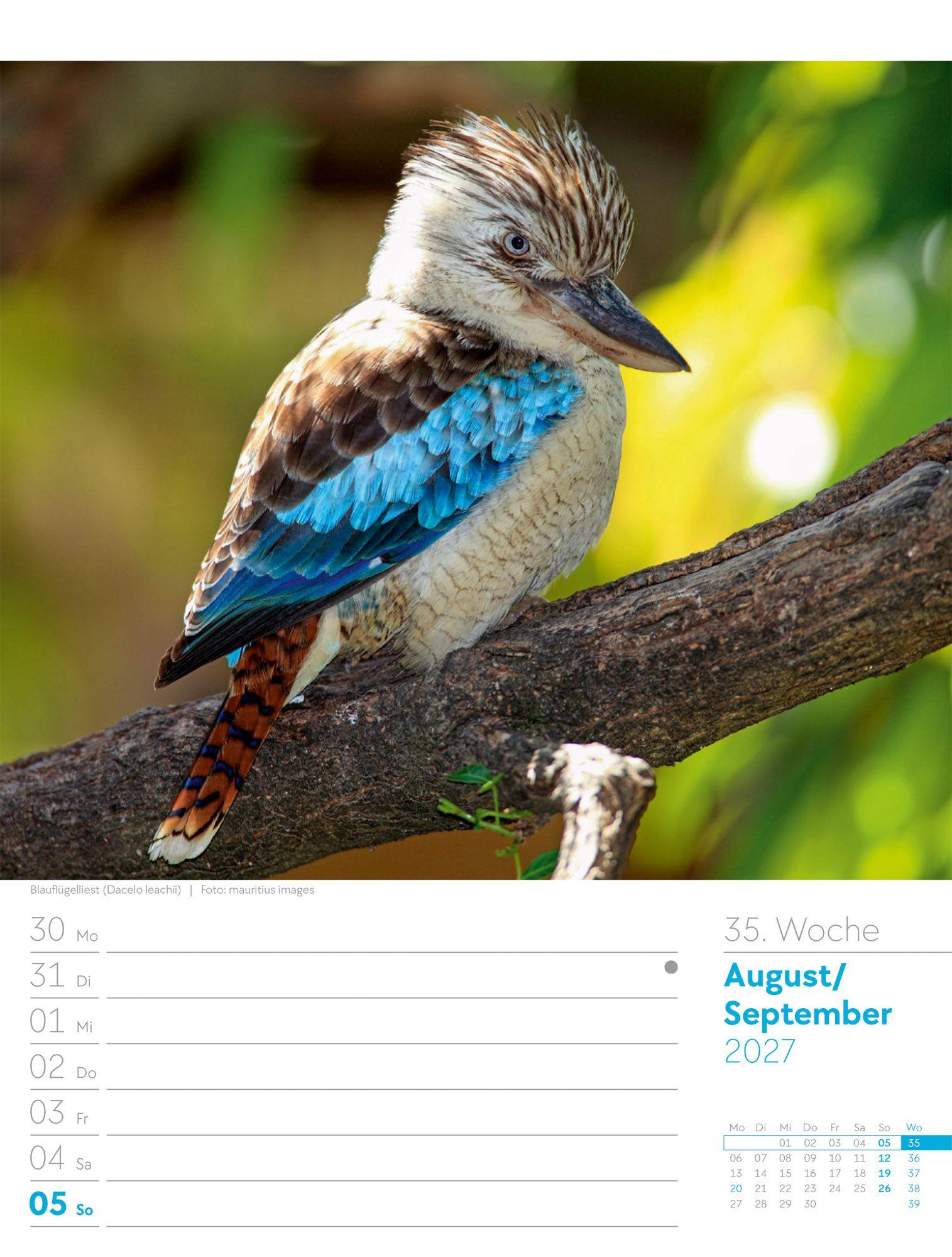 Beispielinhalt (Bild) Vögel Wochenplaner Kalender 2027