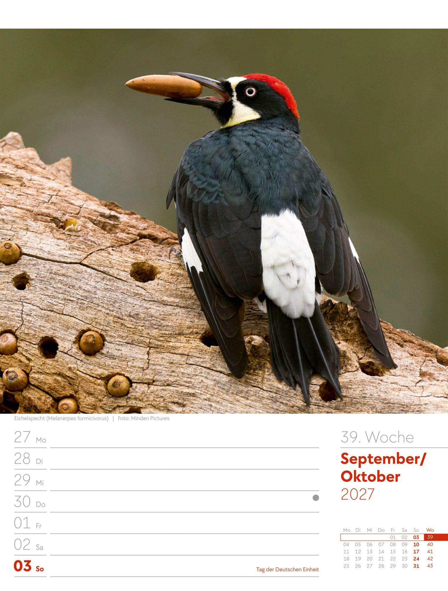 Beispielinhalt (Bild) Vögel Wochenplaner Kalender 2027