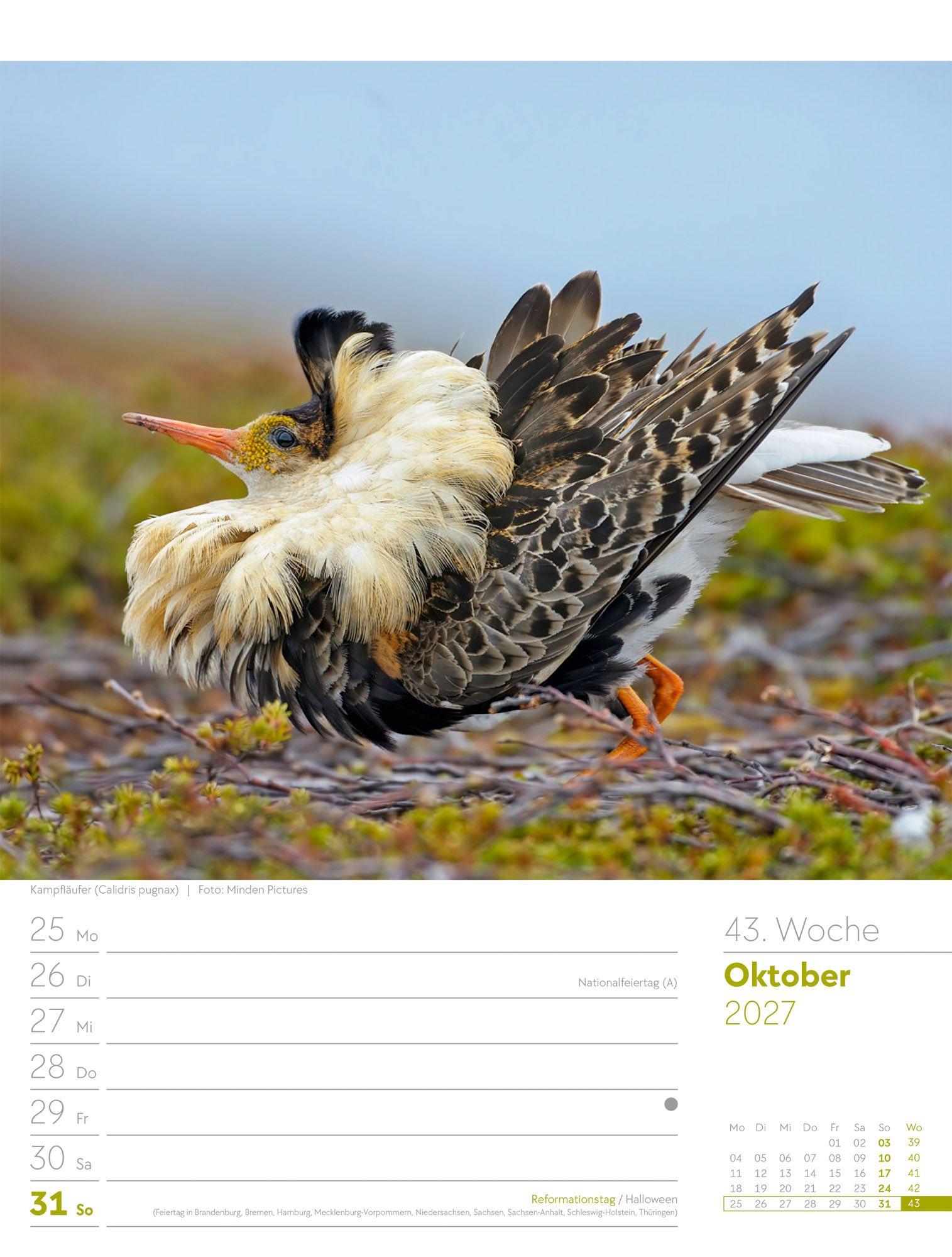 Beispielinhalt (Bild) Vögel Wochenplaner Kalender 2027