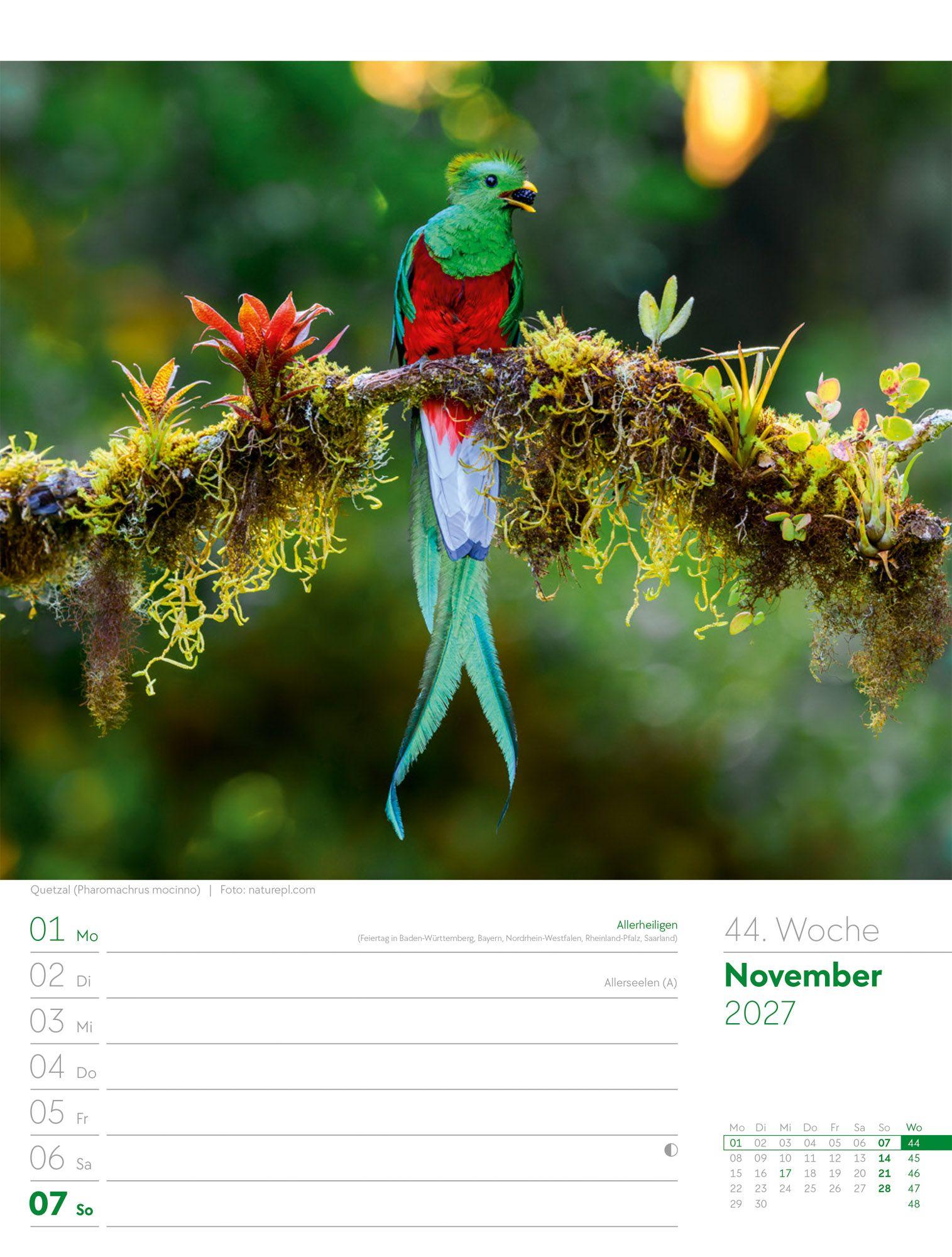 Beispielinhalt (Bild) Vögel Wochenplaner Kalender 2027