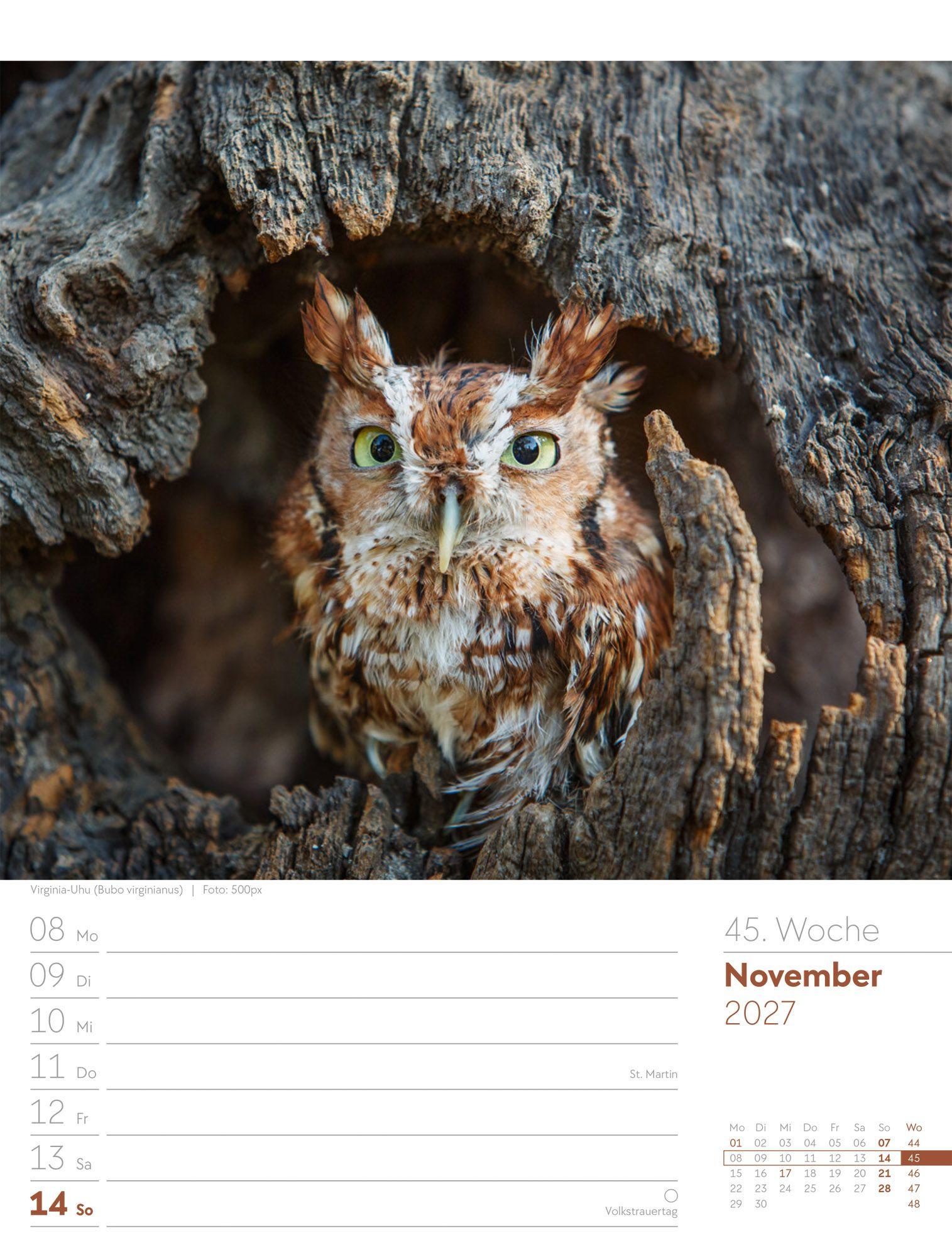 Beispielinhalt (Bild) Vögel Wochenplaner Kalender 2027