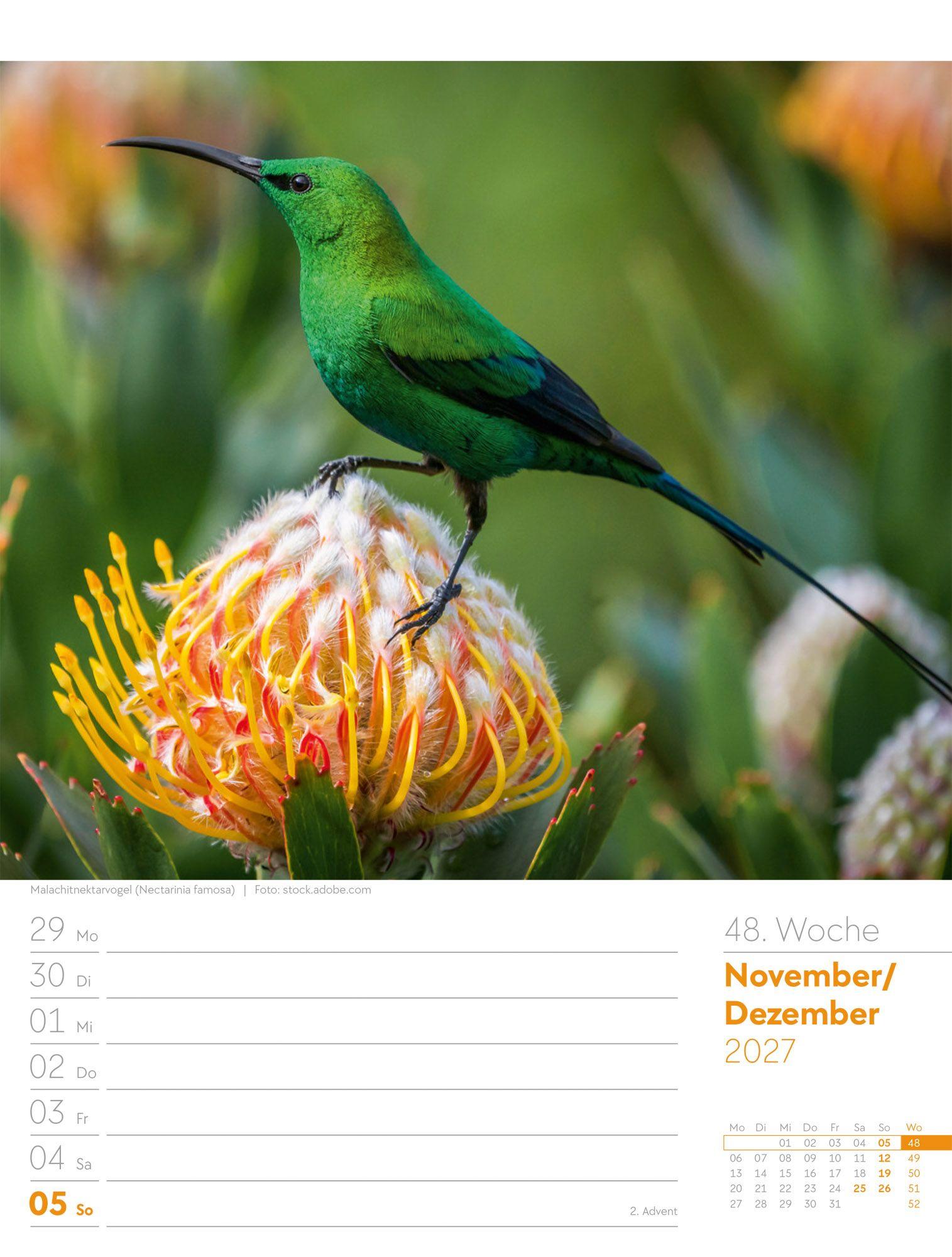 Beispielinhalt (Bild) Vögel Wochenplaner Kalender 2027