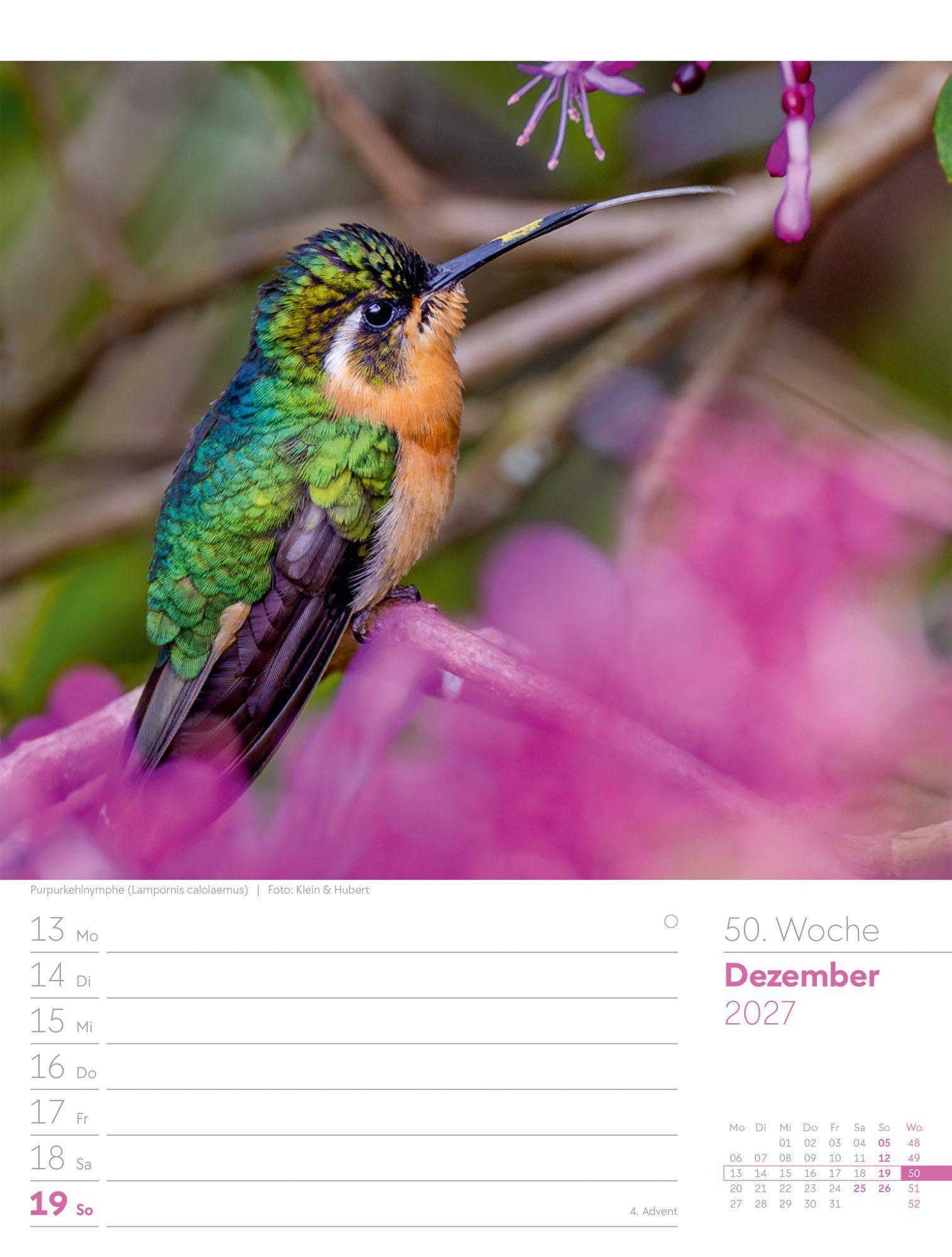 Beispielinhalt (Bild) Vögel Wochenplaner Kalender 2027