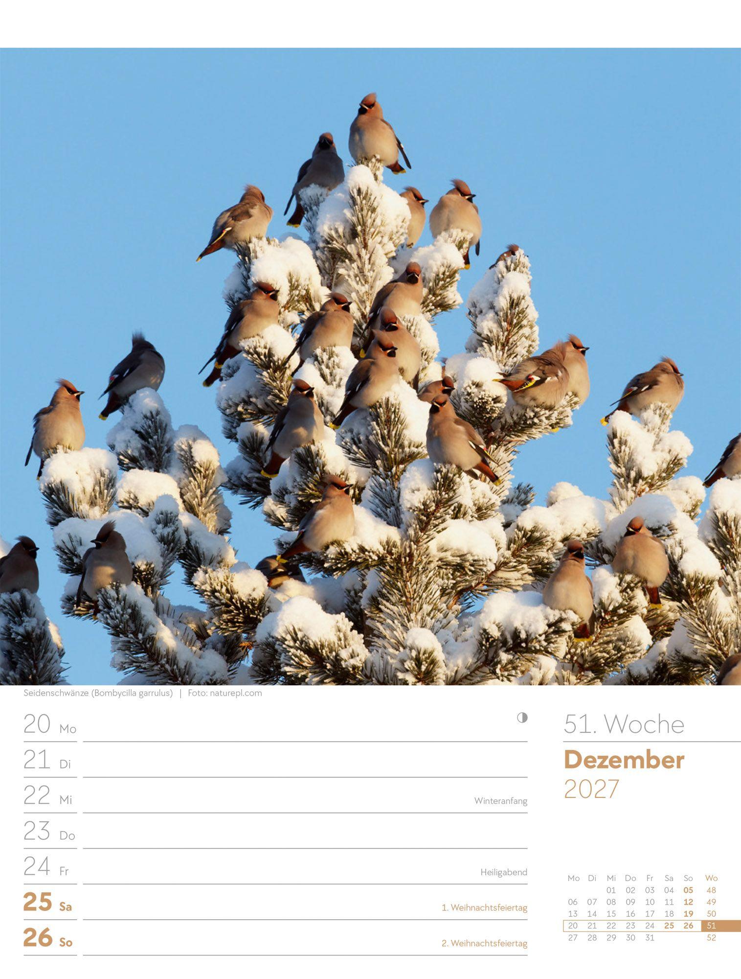 Beispielinhalt (Bild) Vögel Wochenplaner Kalender 2027