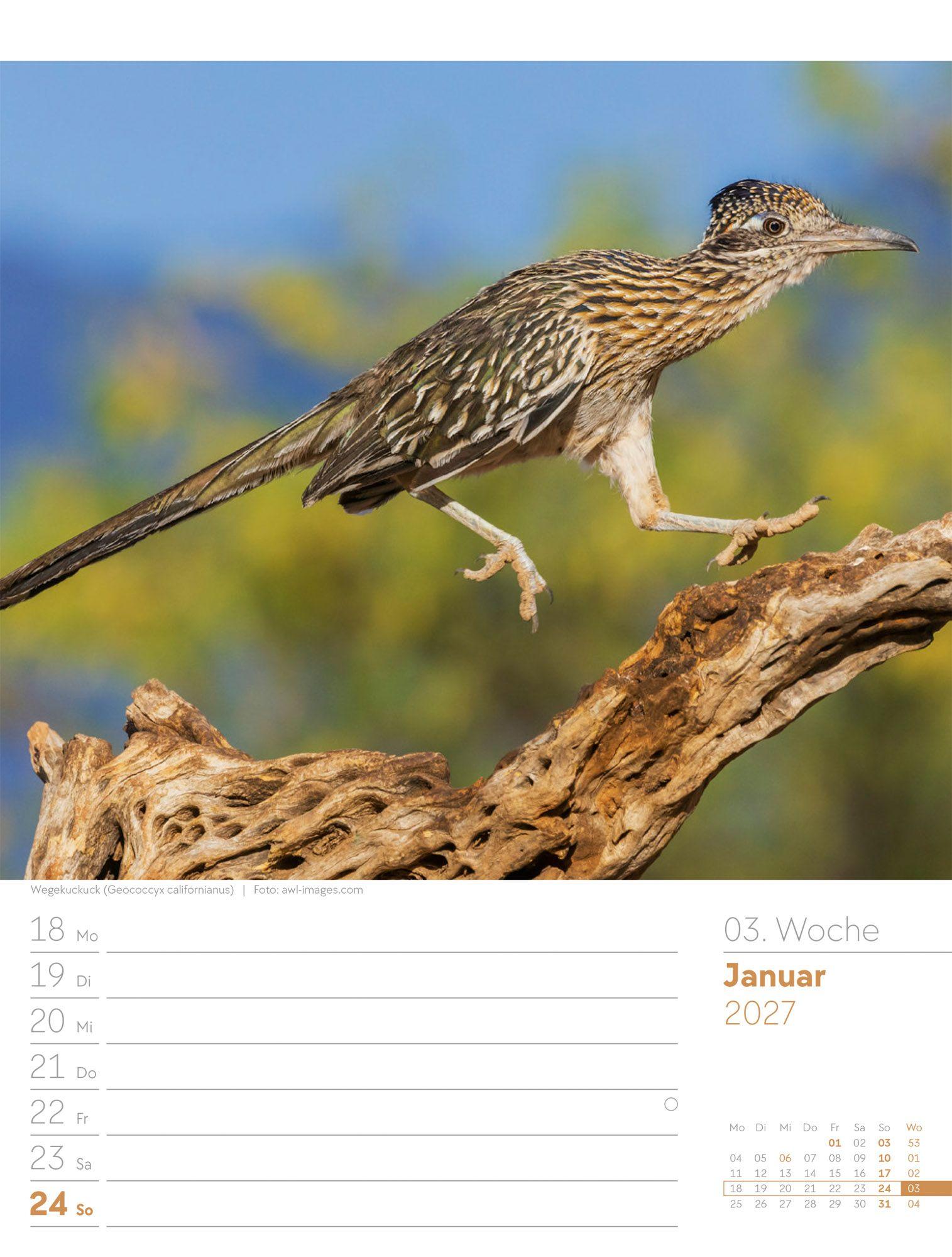Beispielinhalt (Bild) Vögel Wochenplaner Kalender 2027