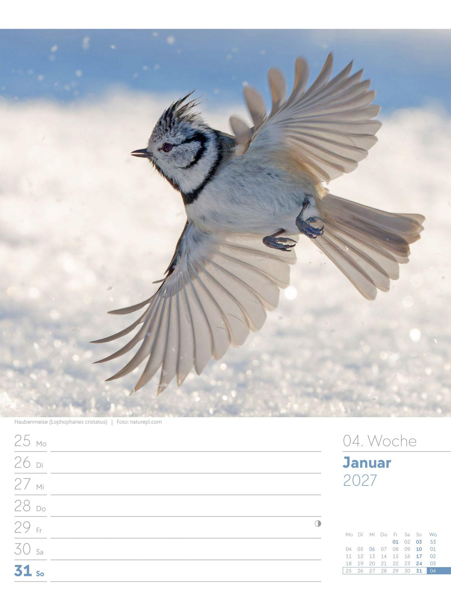 Beispielinhalt (Bild) Vögel Wochenplaner Kalender 2027