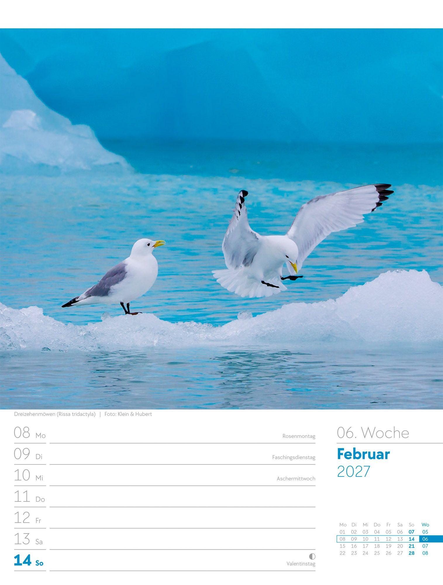 Beispielinhalt (Bild) Vögel Wochenplaner Kalender 2027