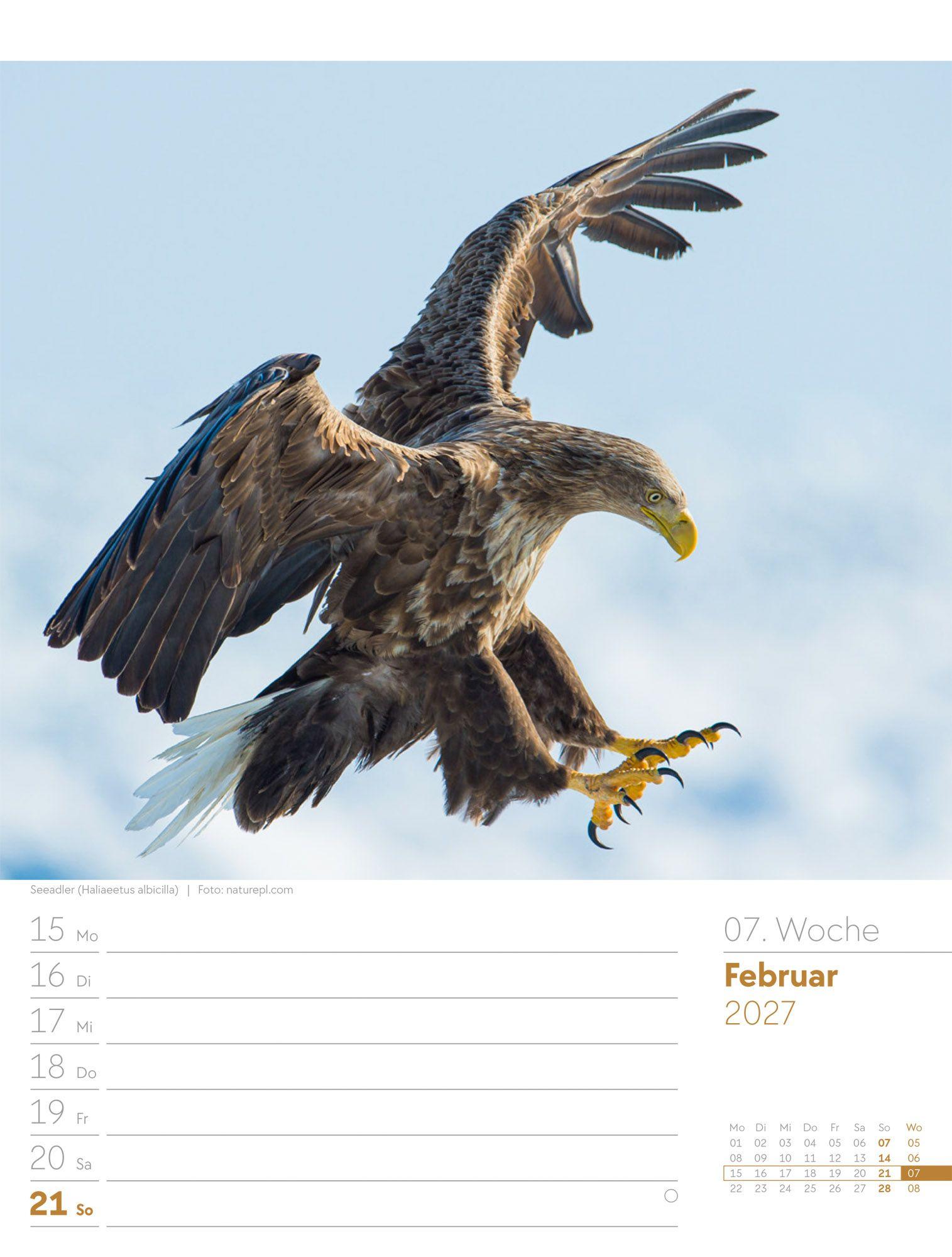 Beispielinhalt (Bild) Vögel Wochenplaner Kalender 2027