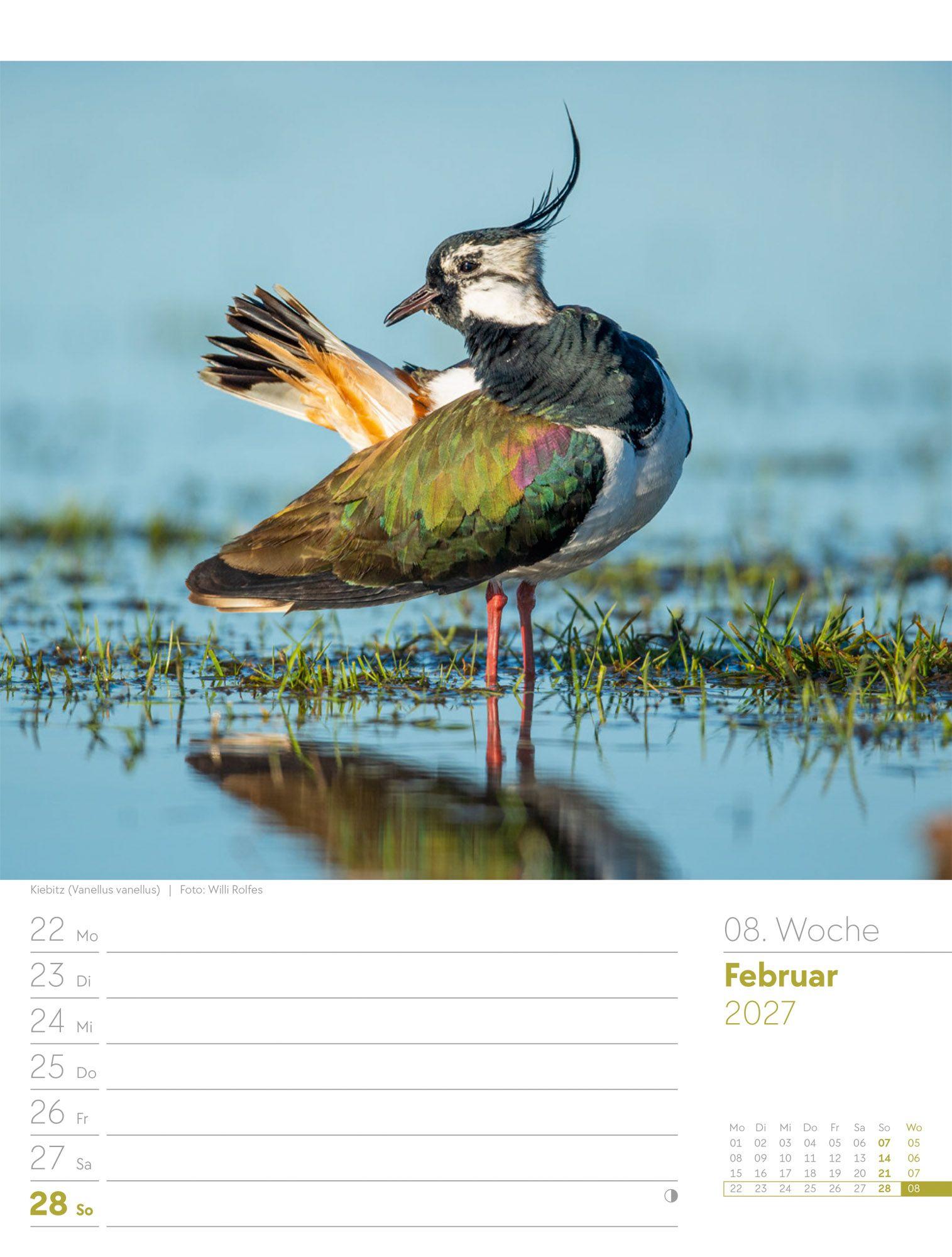 Beispielinhalt (Bild) Vögel Wochenplaner Kalender 2027