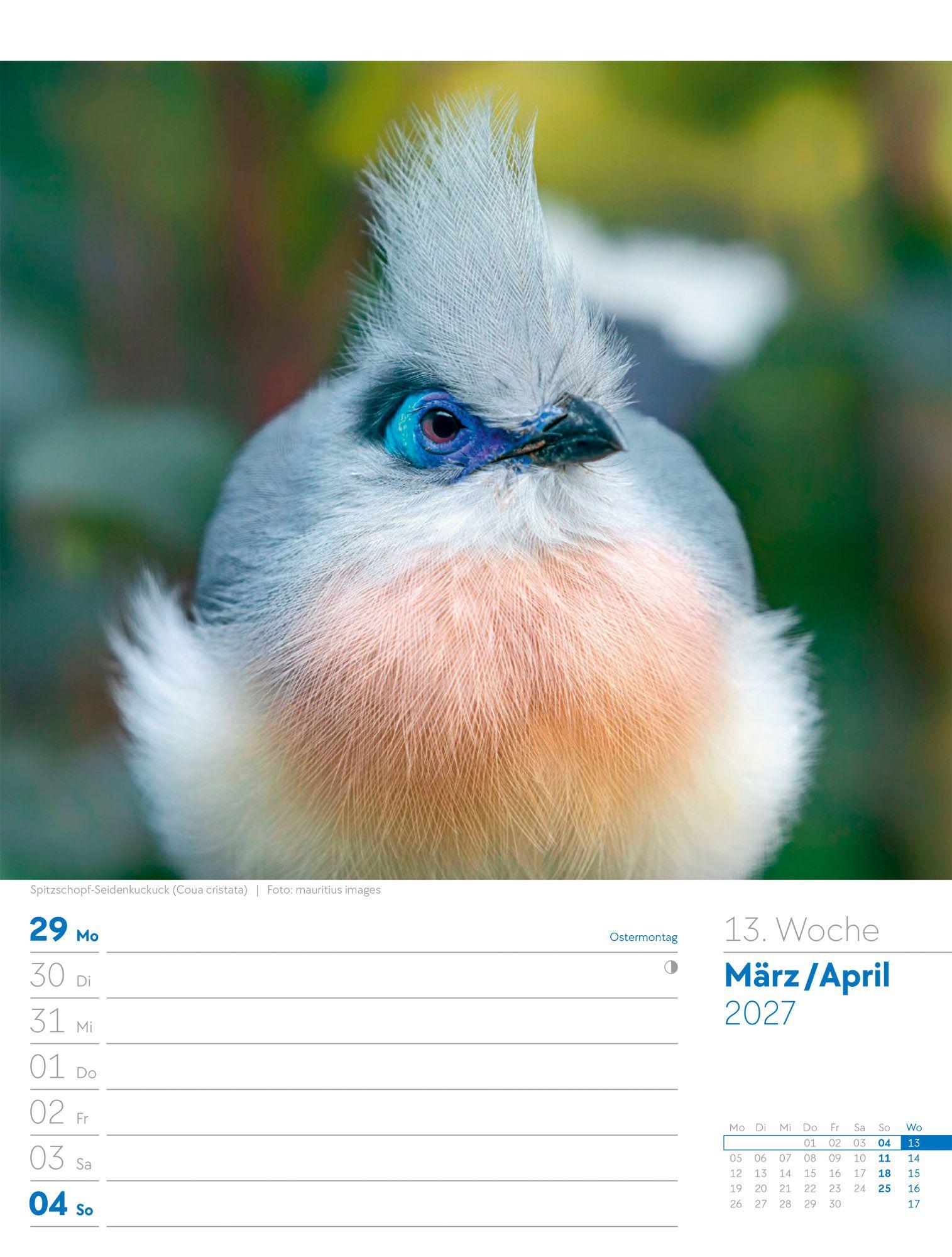 Beispielinhalt (Bild) Vögel Wochenplaner Kalender 2027