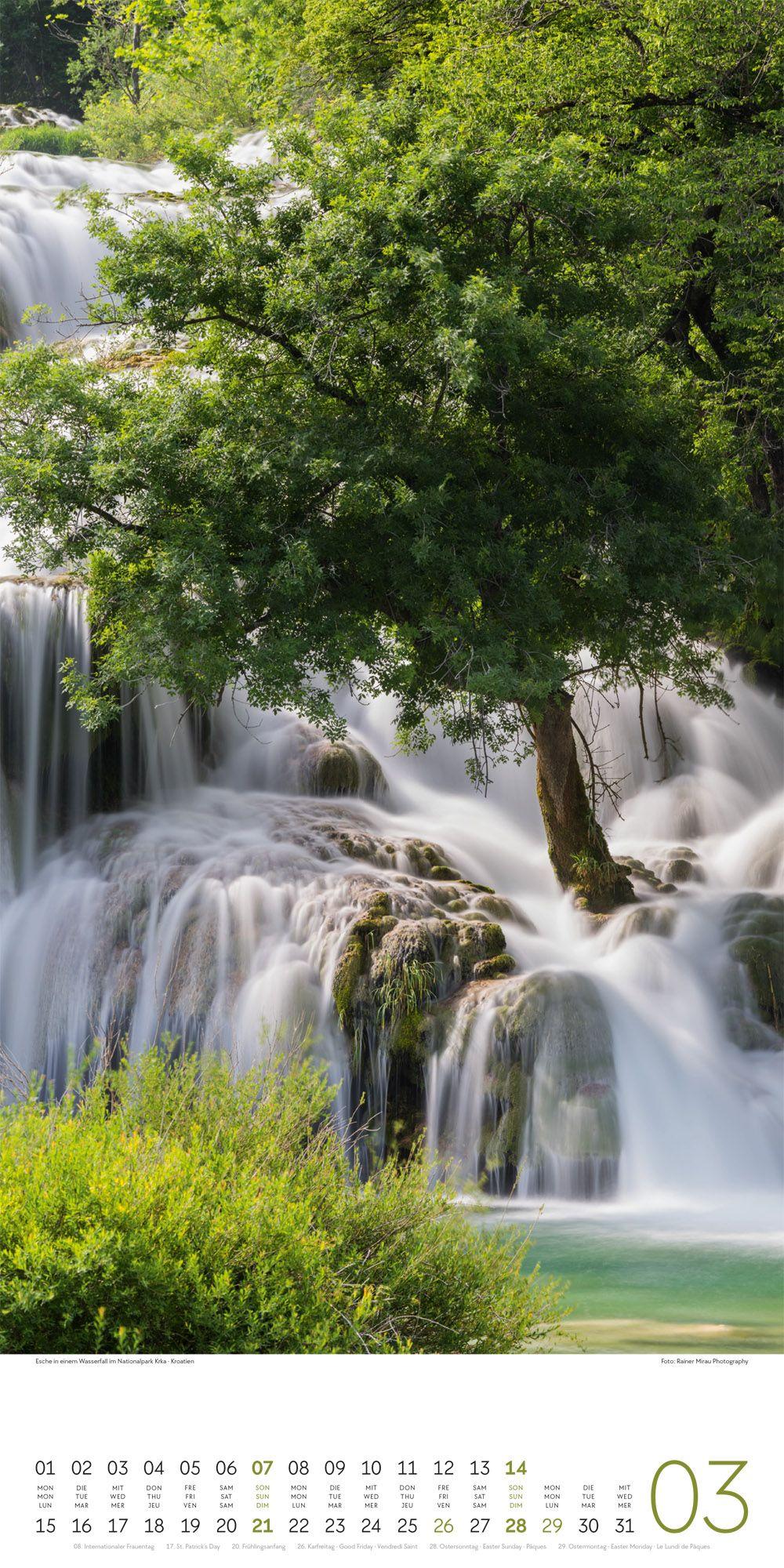 Beispielinhalt (Bild) Bäume Kalender 2027