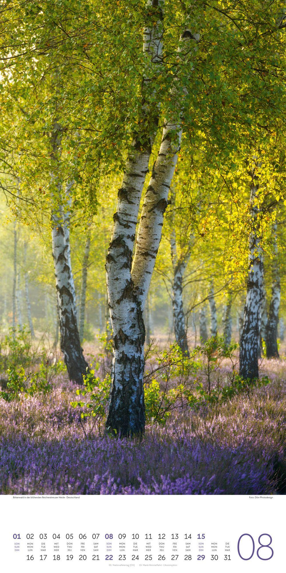 Beispielinhalt (Bild) Bäume Kalender 2027