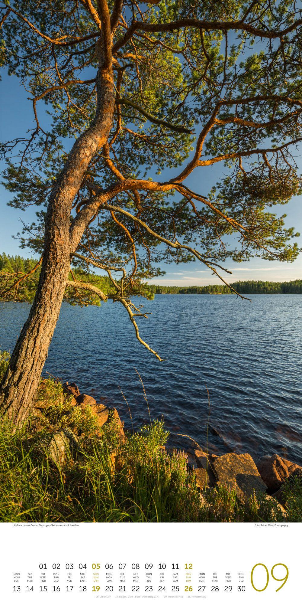 Beispielinhalt (Bild) Bäume Kalender 2027