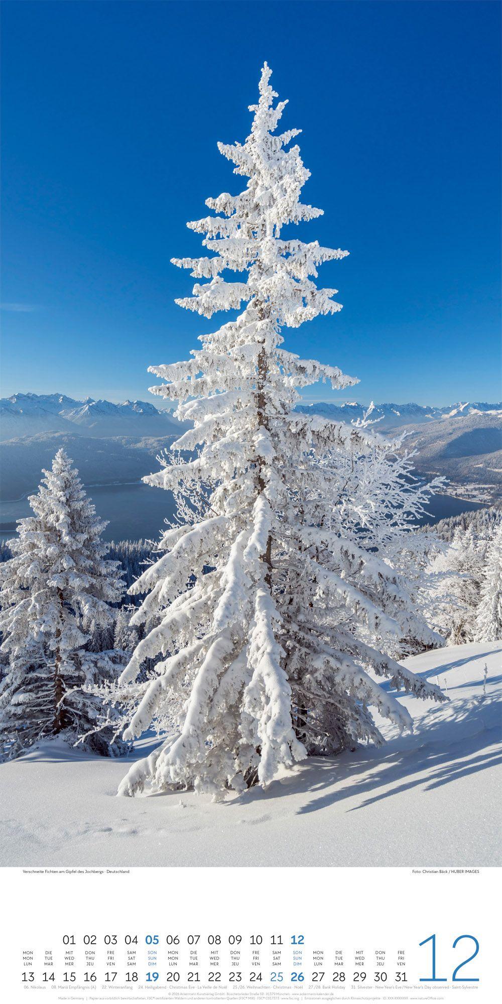 Beispielinhalt (Bild) Bäume Kalender 2027