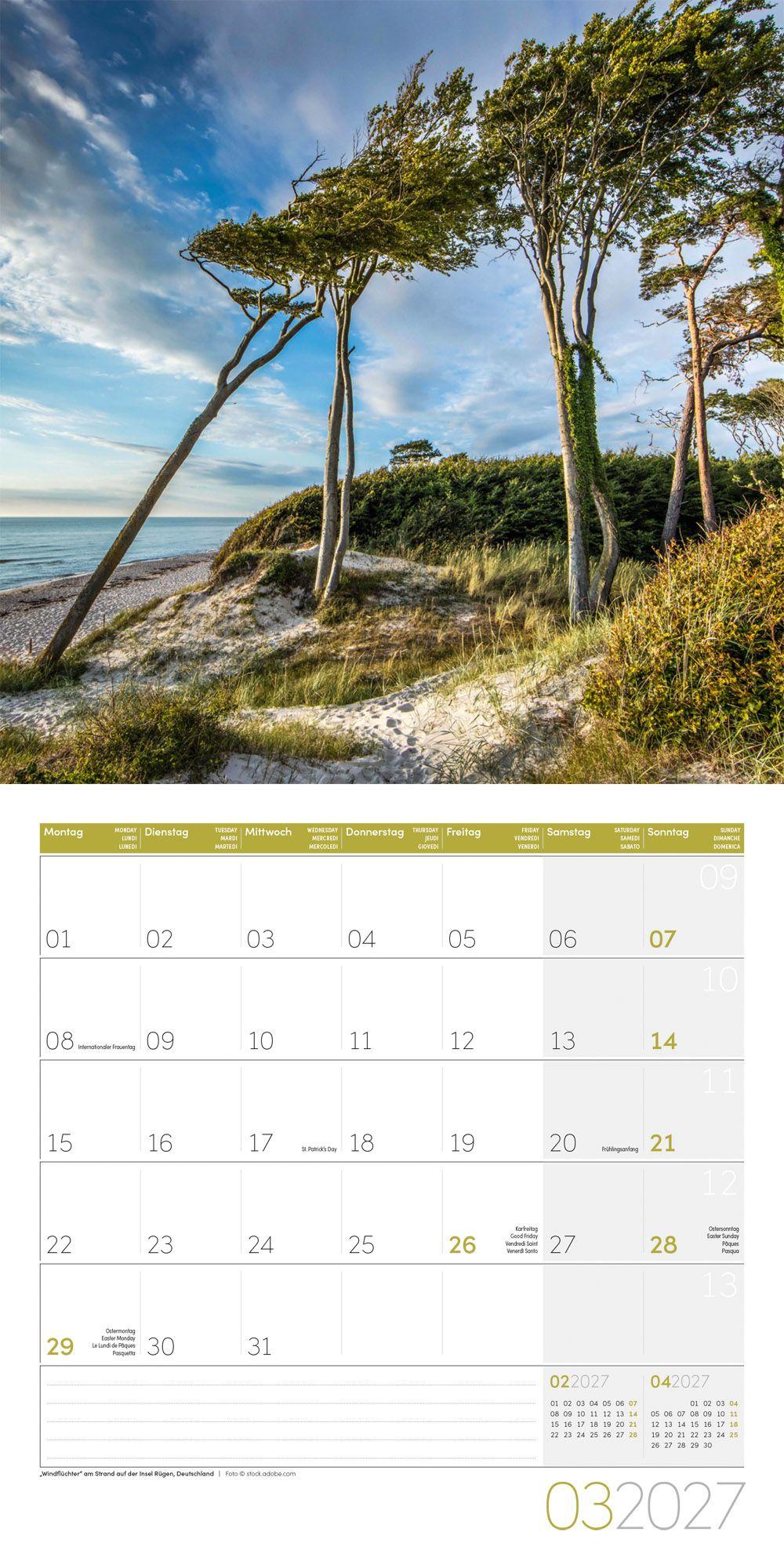 Beispielinhalt (Bild) Bäume Kalender 2027 - 30x30 - Art12