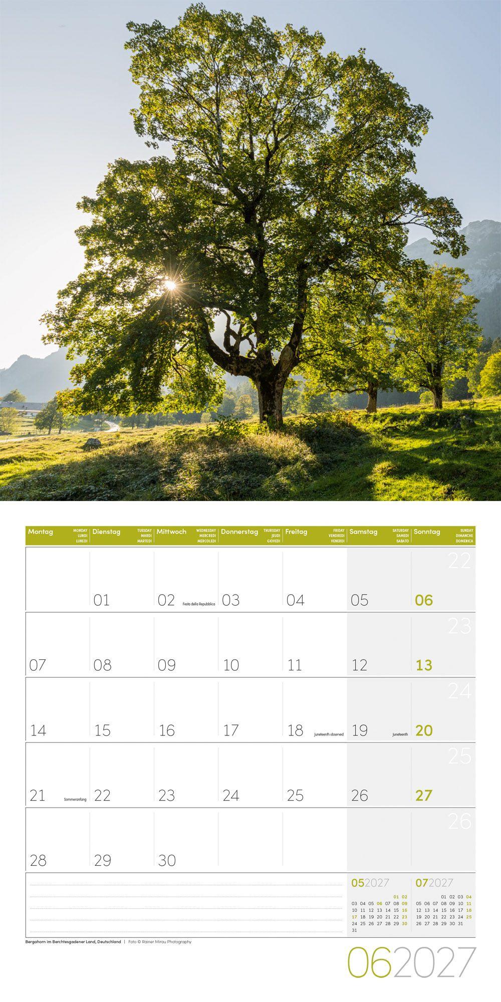 Beispielinhalt (Bild) Bäume Kalender 2027 - 30x30 - Art12