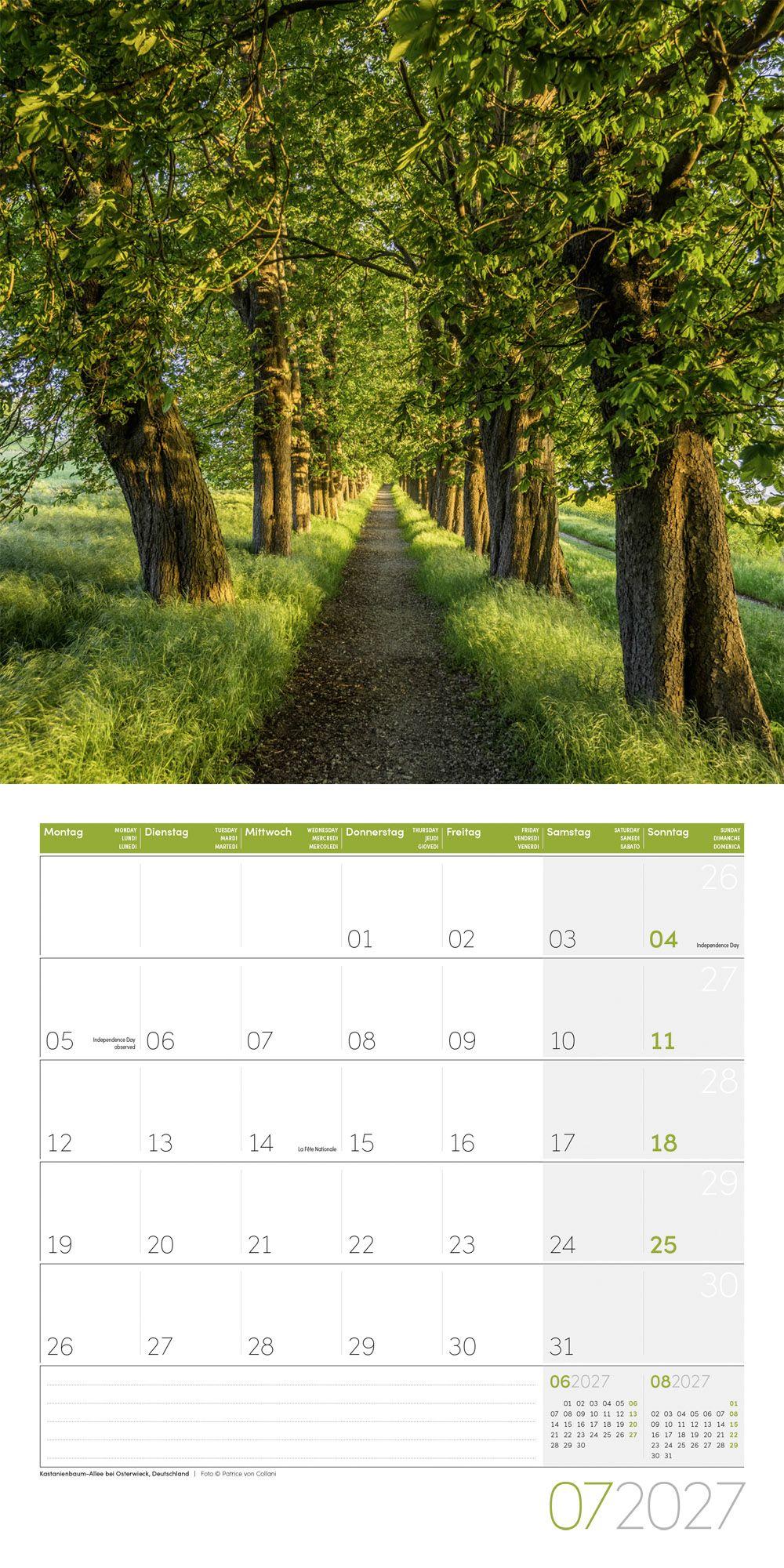 Beispielinhalt (Bild) Bäume Kalender 2027 - 30x30 - Art12