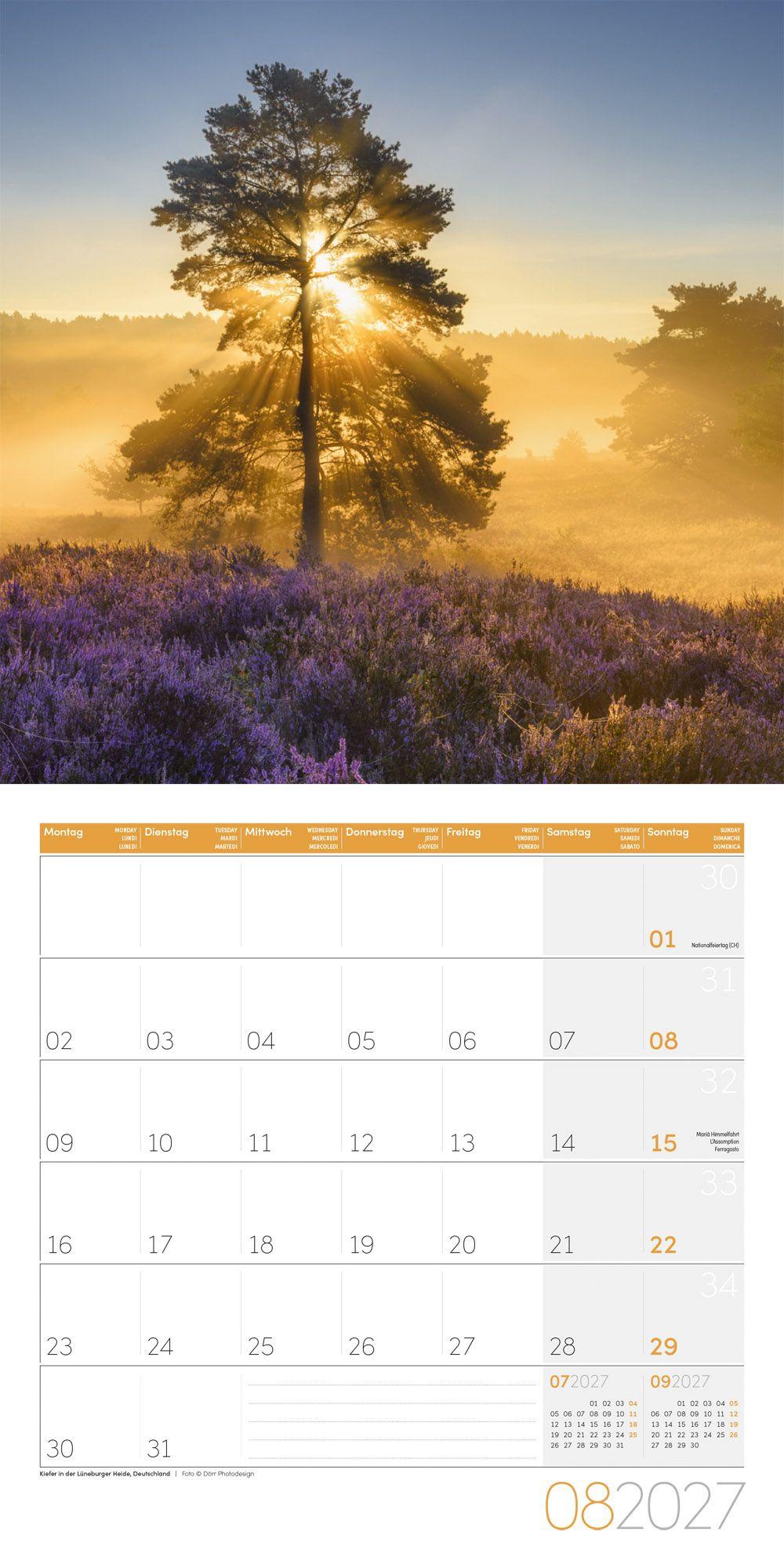 Beispielinhalt (Bild) Bäume Kalender 2027 - 30x30 - Art12