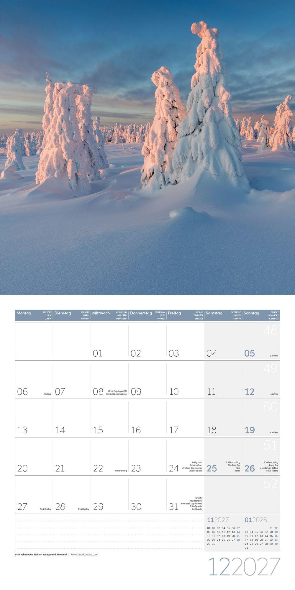 Beispielinhalt (Bild) Bäume Kalender 2027 - 30x30 - Art12