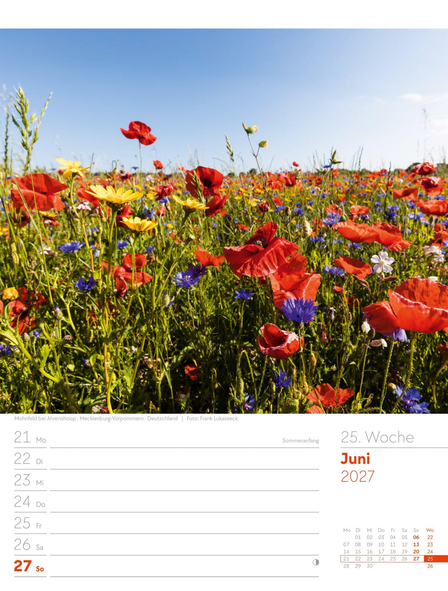 Beispielinhalt (Bild) Am Meer Wochenplaner Kalender 2027