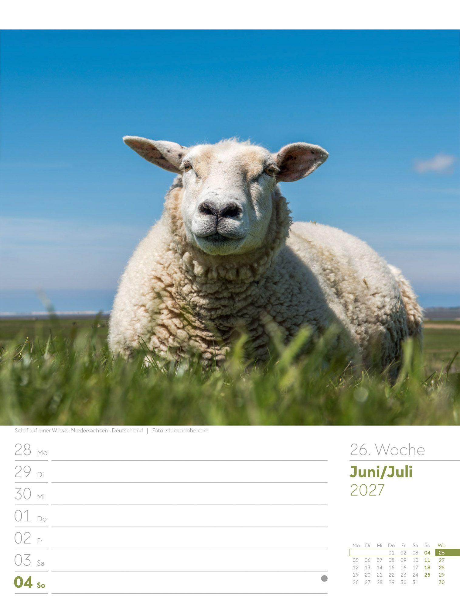 Beispielinhalt (Bild) Am Meer Wochenplaner Kalender 2027