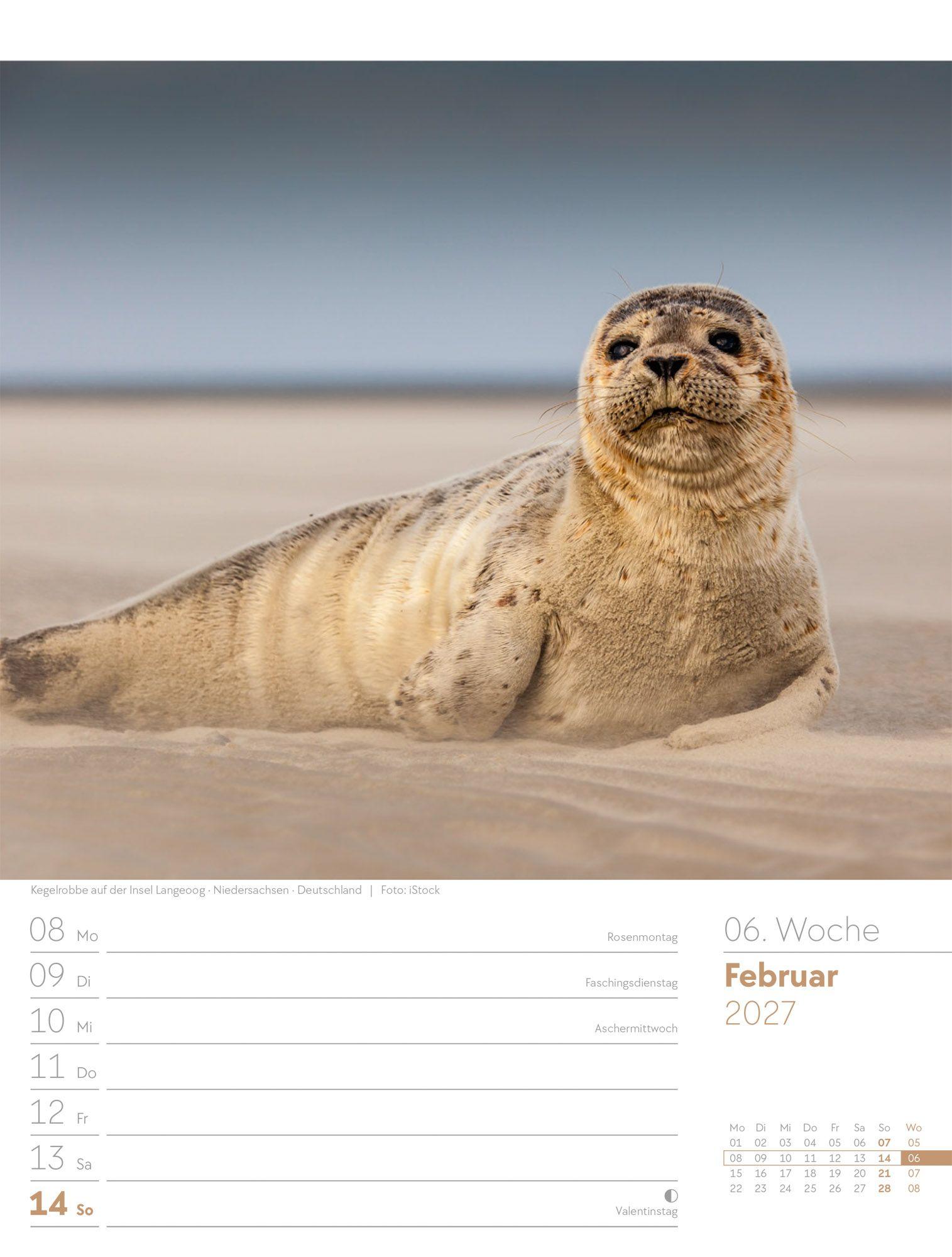 Beispielinhalt (Bild) Am Meer Wochenplaner Kalender 2027