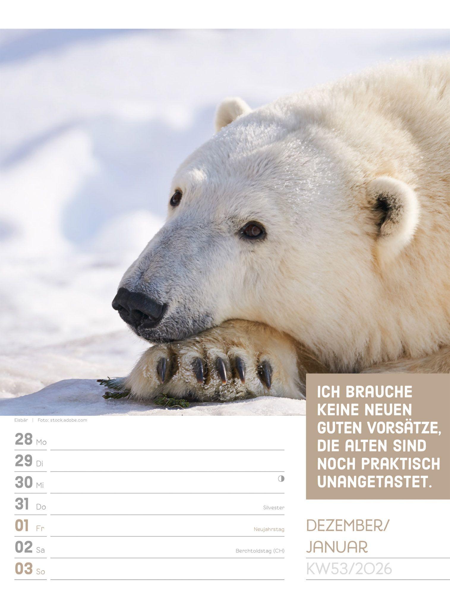 Beispielinhalt (Bild) Tierisch Sprüchekalender Wochenplaner 2027