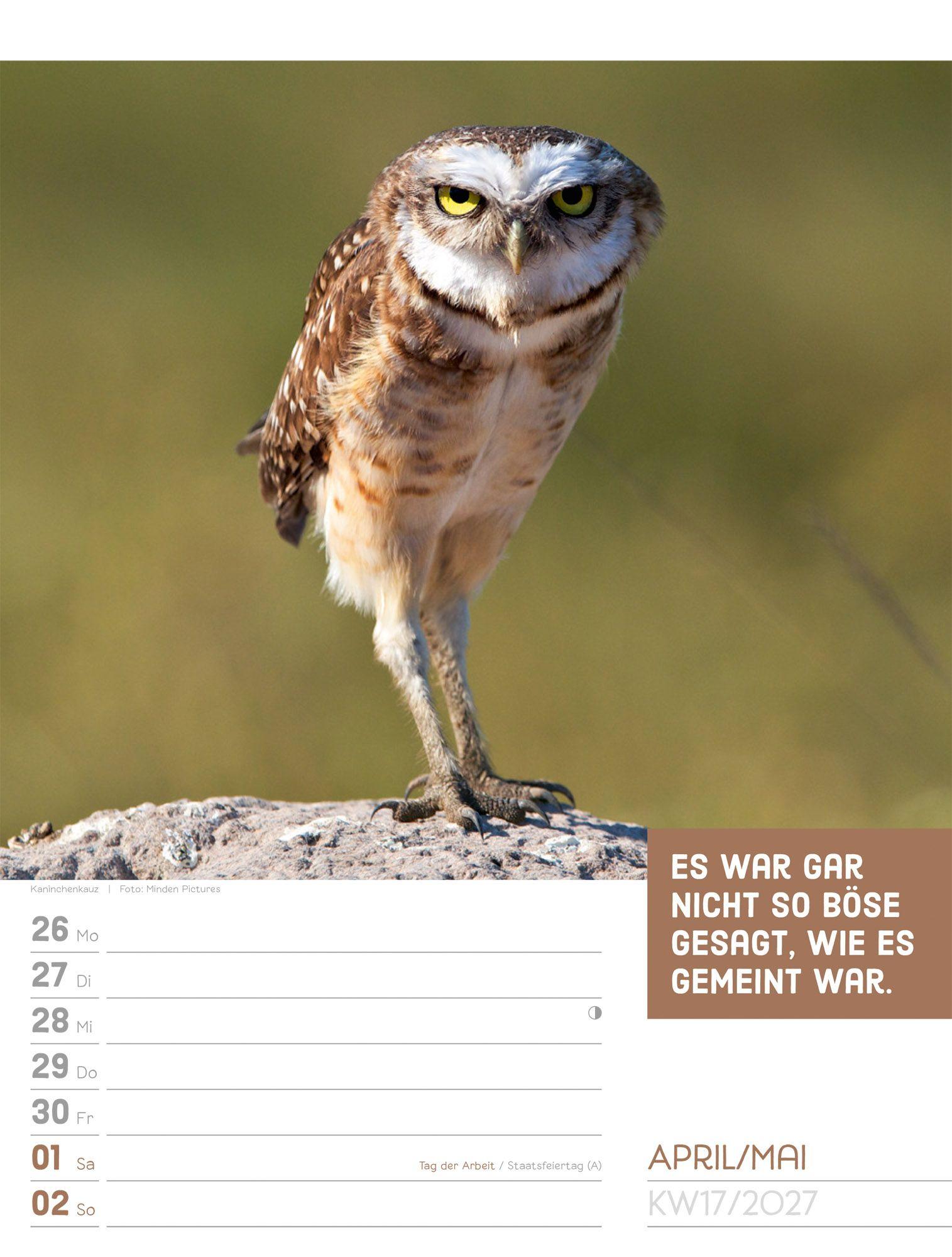 Beispielinhalt (Bild) Tierisch Sprüchekalender Wochenplaner 2027