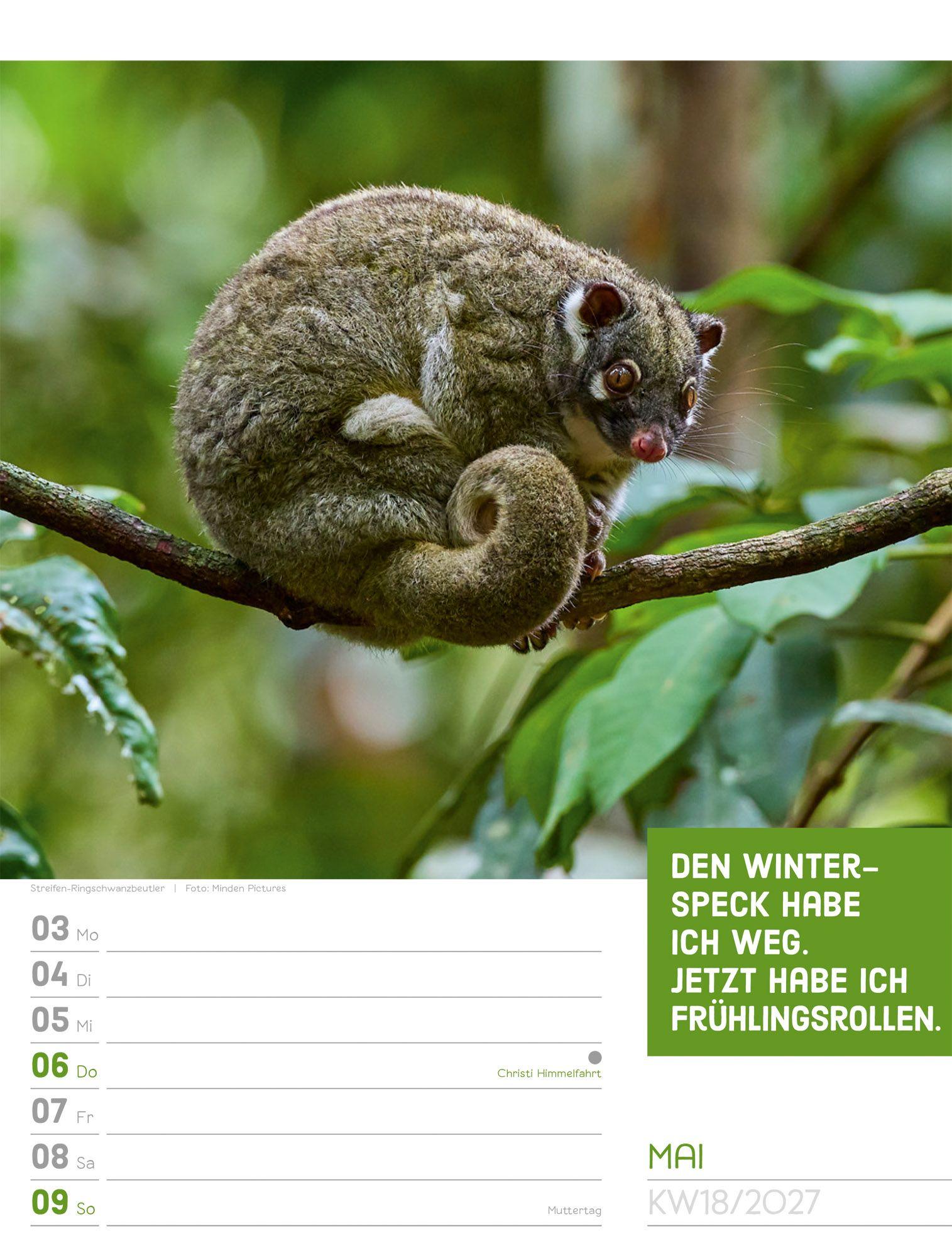 Beispielinhalt (Bild) Tierisch Sprüchekalender Wochenplaner 2027