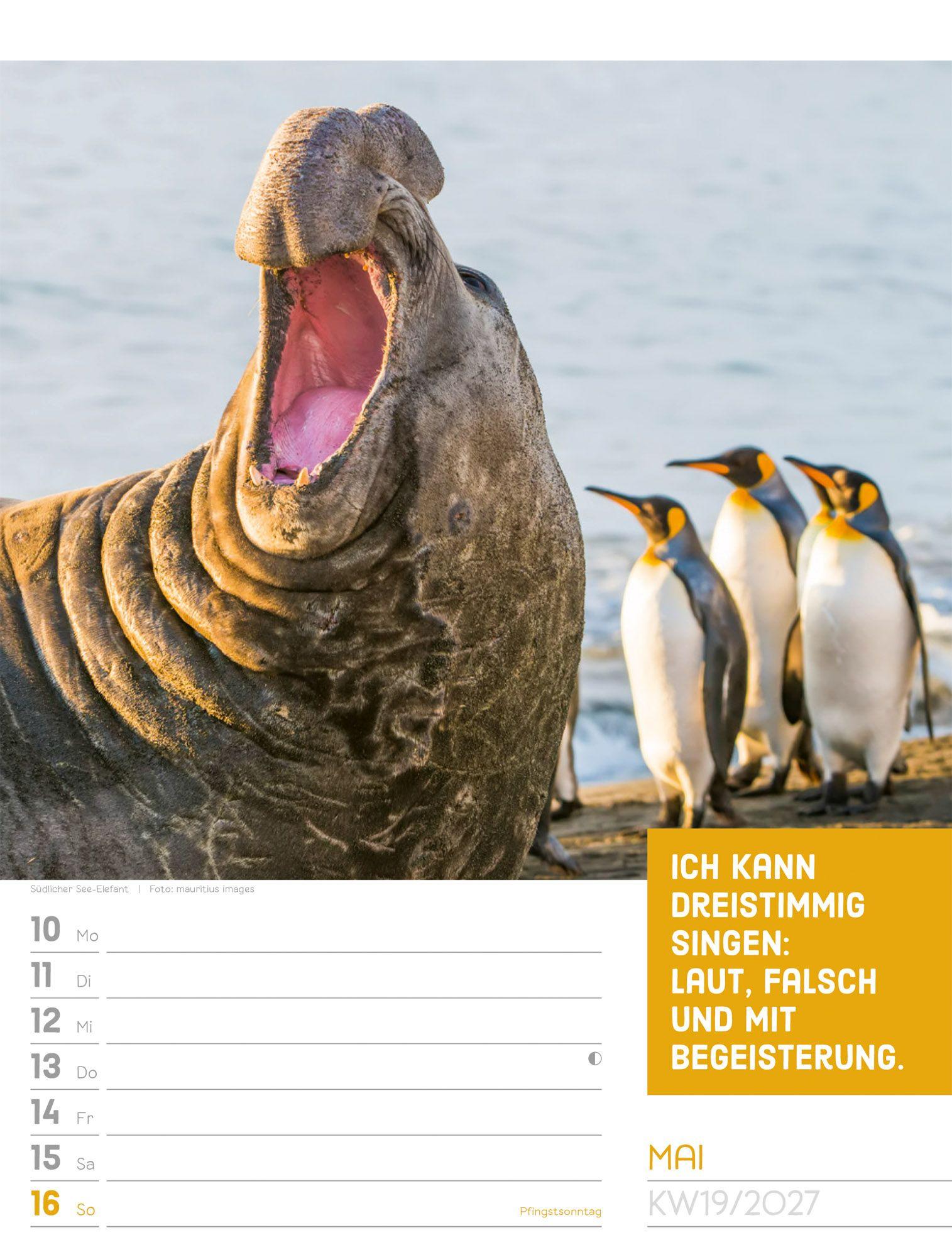 Beispielinhalt (Bild) Tierisch Sprüchekalender Wochenplaner 2027