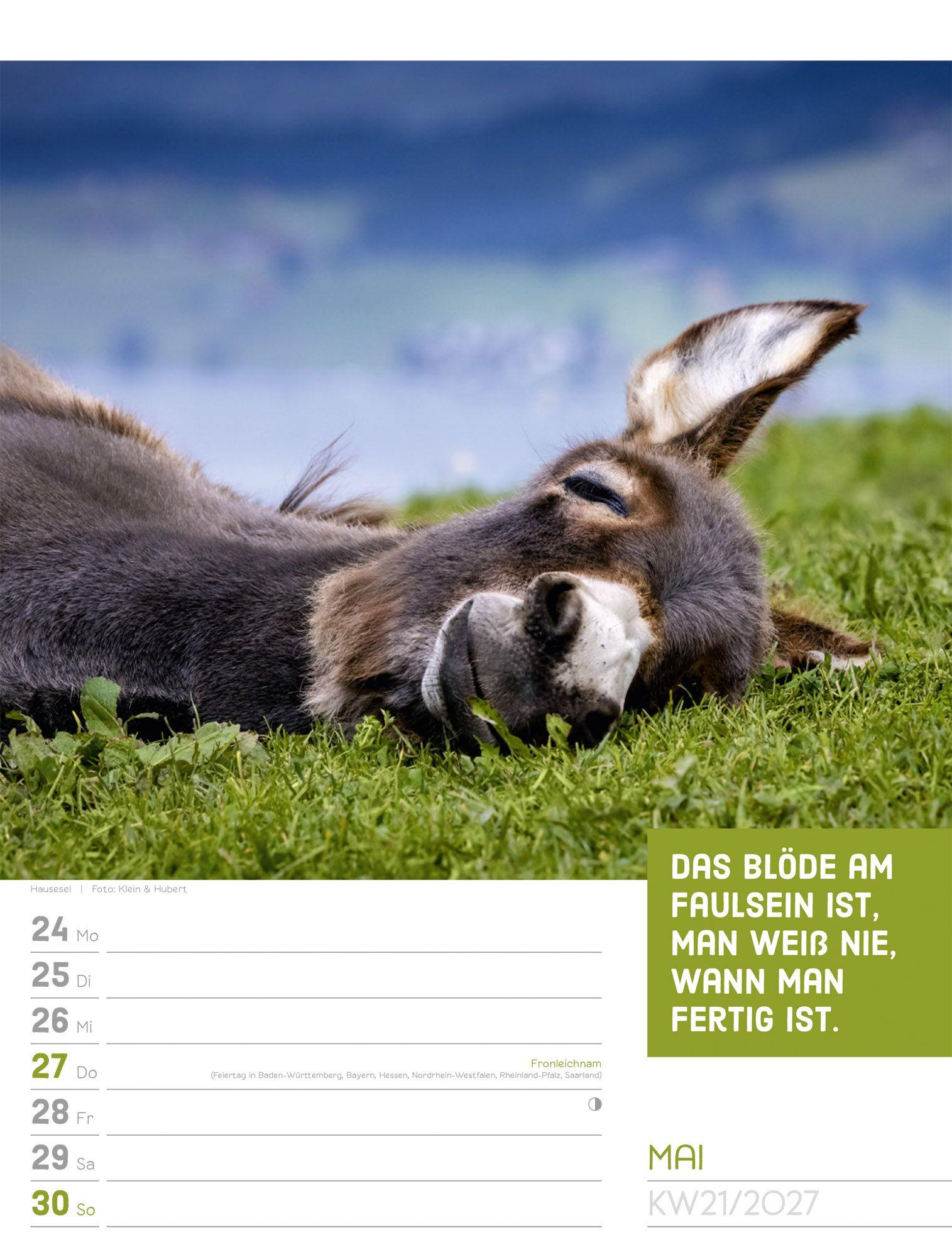 Beispielinhalt (Bild) Tierisch Sprüchekalender Wochenplaner 2027